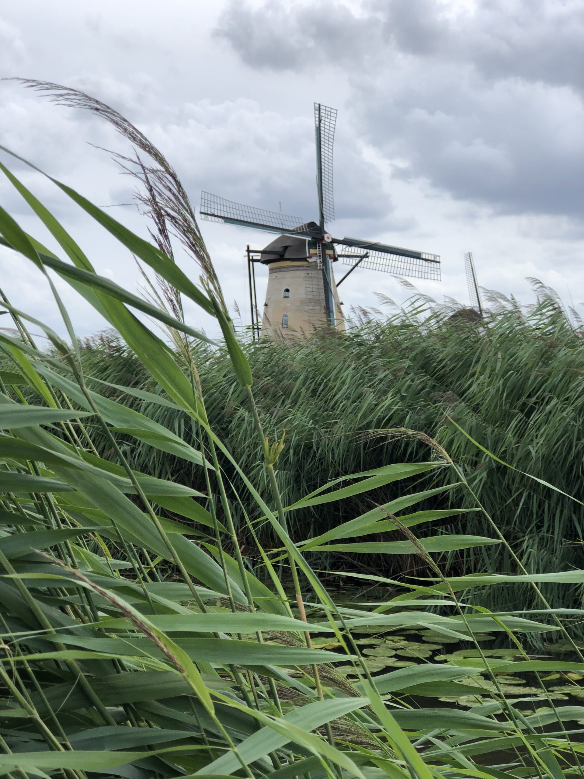 Road trip aux Pays-Bas: Delft, Gouda et Kinderdijk