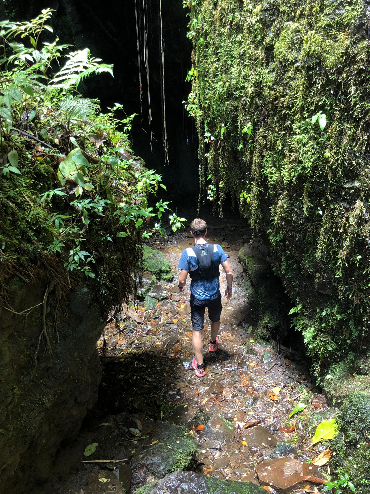 Explorer la jungle de la grotte del esplandor