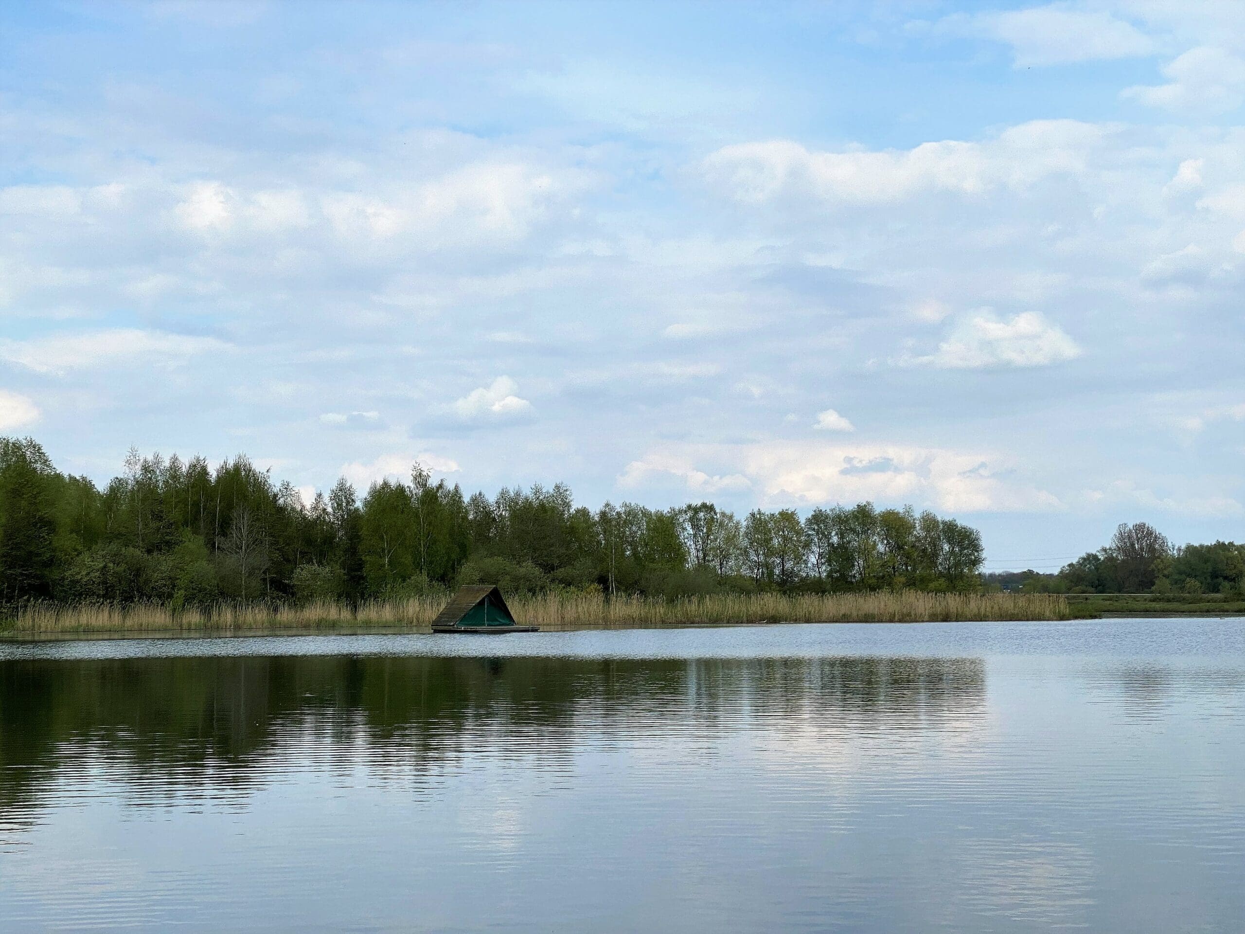 Week-end insolite dans le Limbourg : nuit dans une cabane sur l’eau et visite du Sahara de Lommel