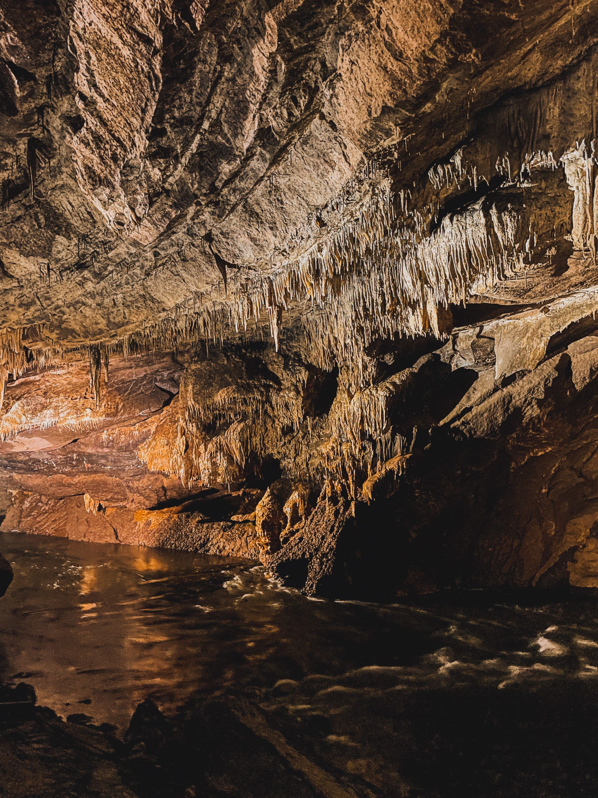 dormir dans un parc animalier grottes de han