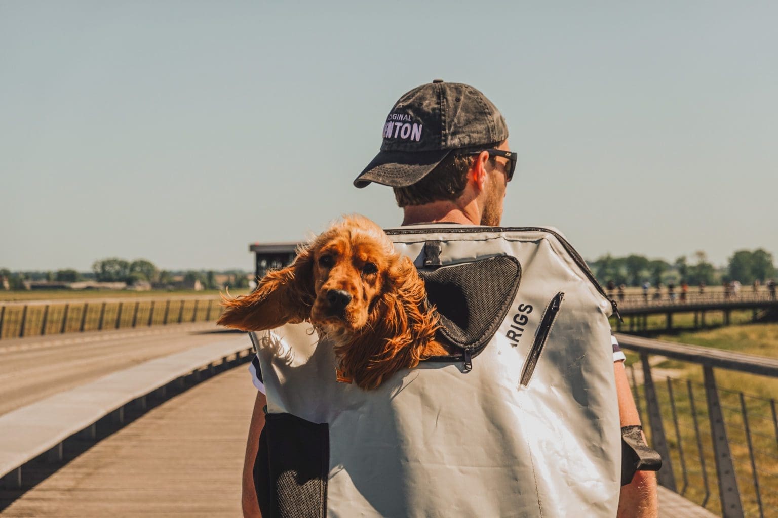 Les Chiens Sont Ils Autorisés Au Mont Saint Michel