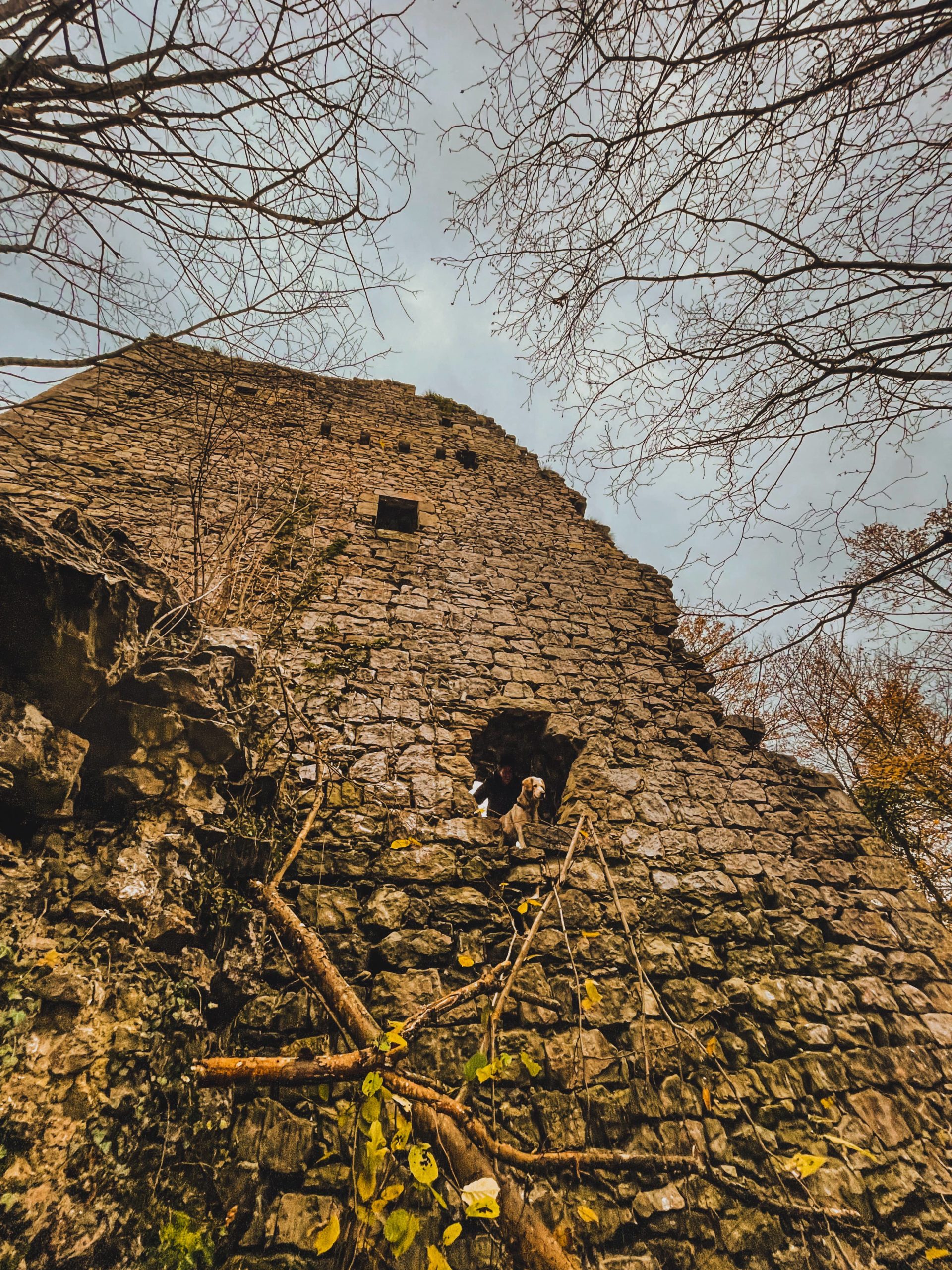 Initiation urbex Belgique : ruines d’un château abandonné à Liège