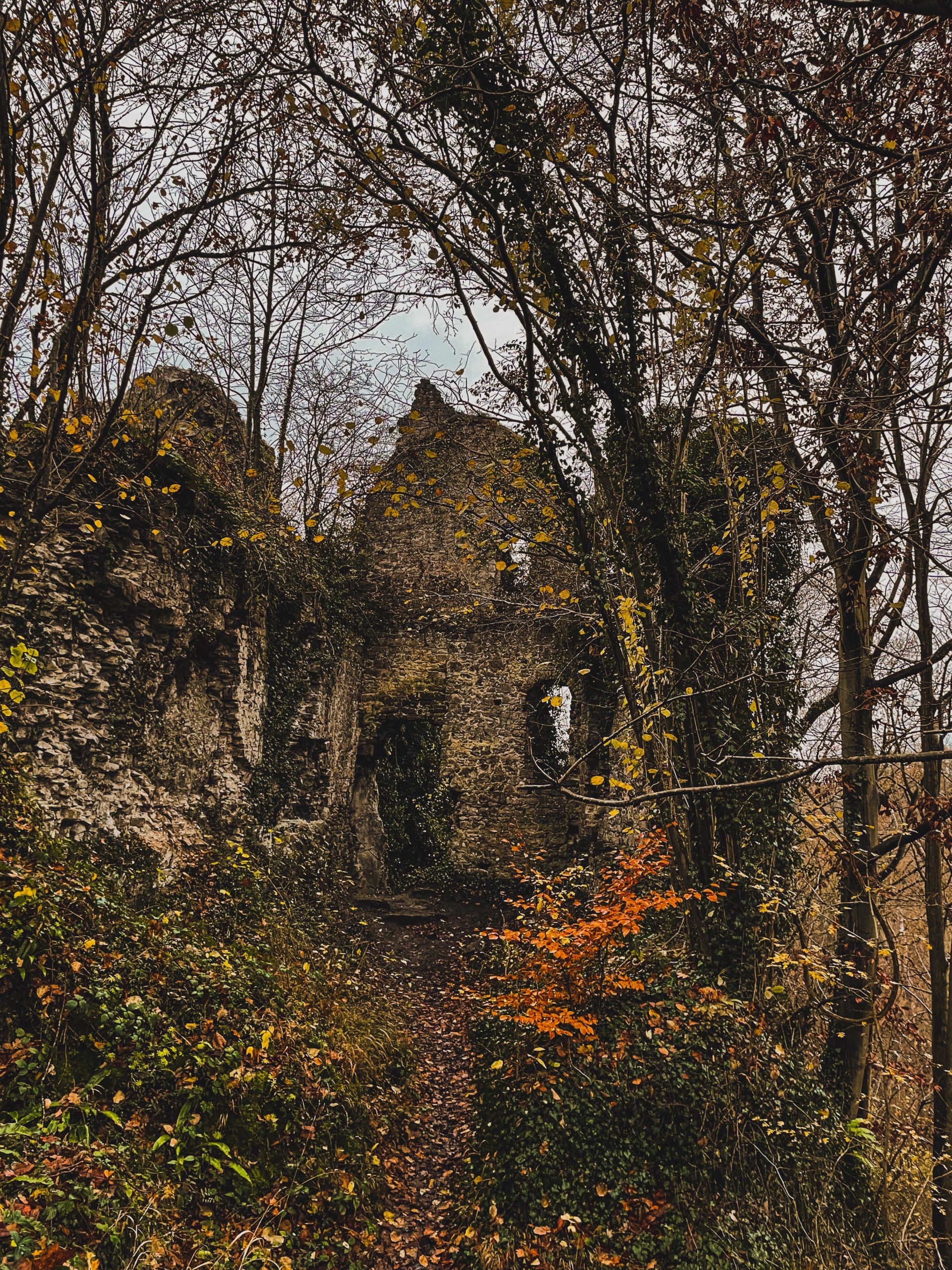 urbex belgique ruine chateau 