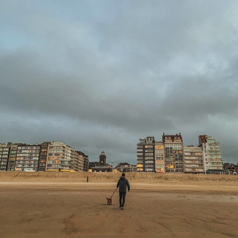 que faire à Knokke Heist rando zwin