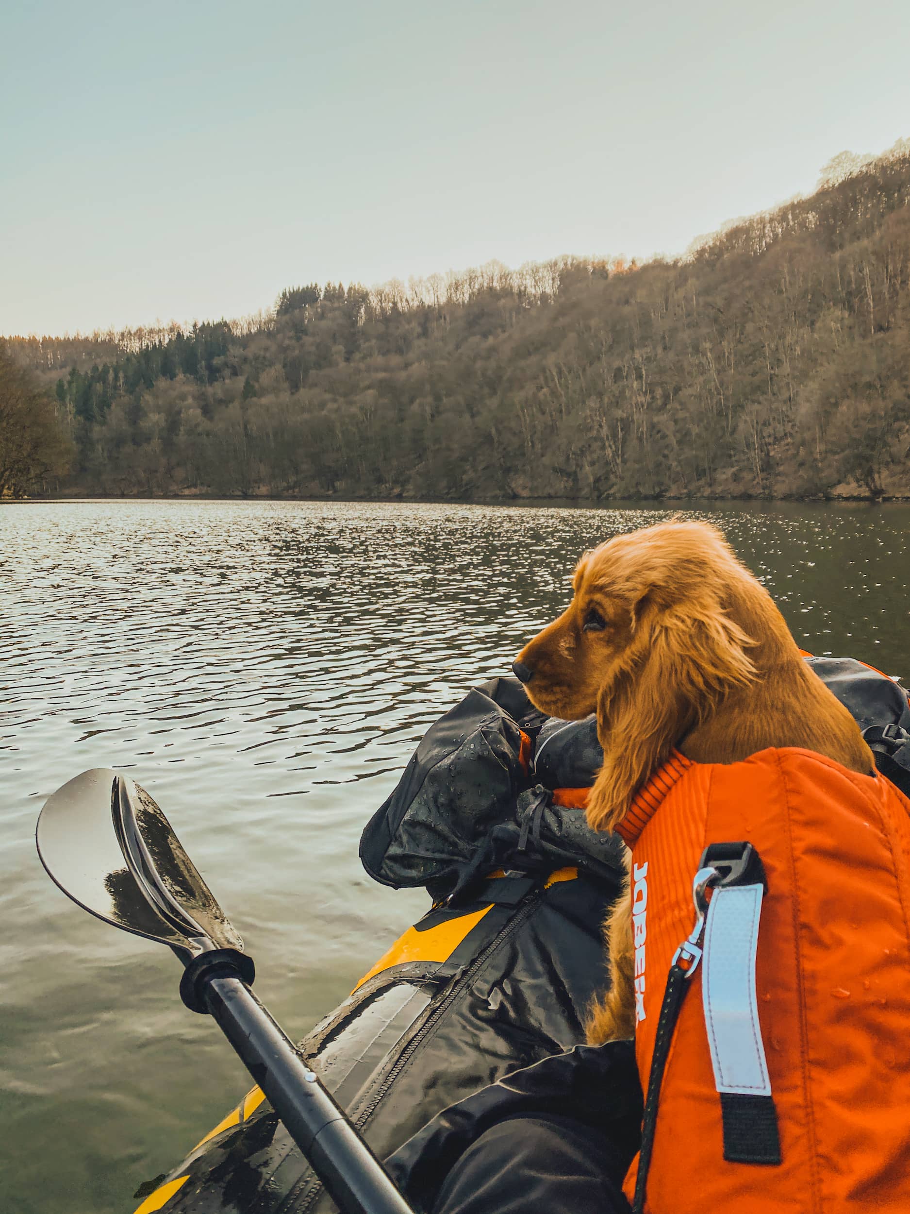 packraft avec chien lac de nisramont belgique 