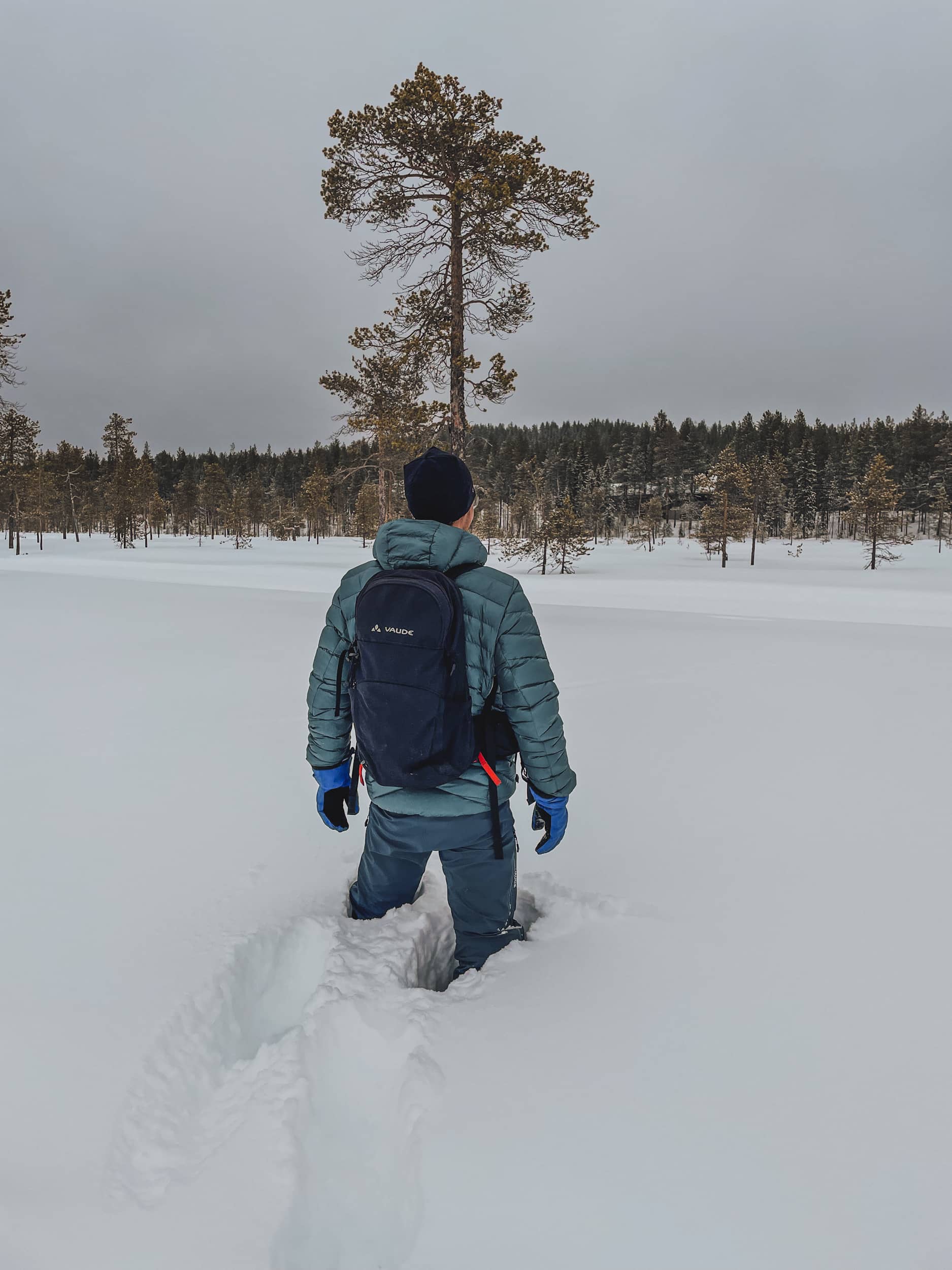 voyages en Laponie programme 7 jours 