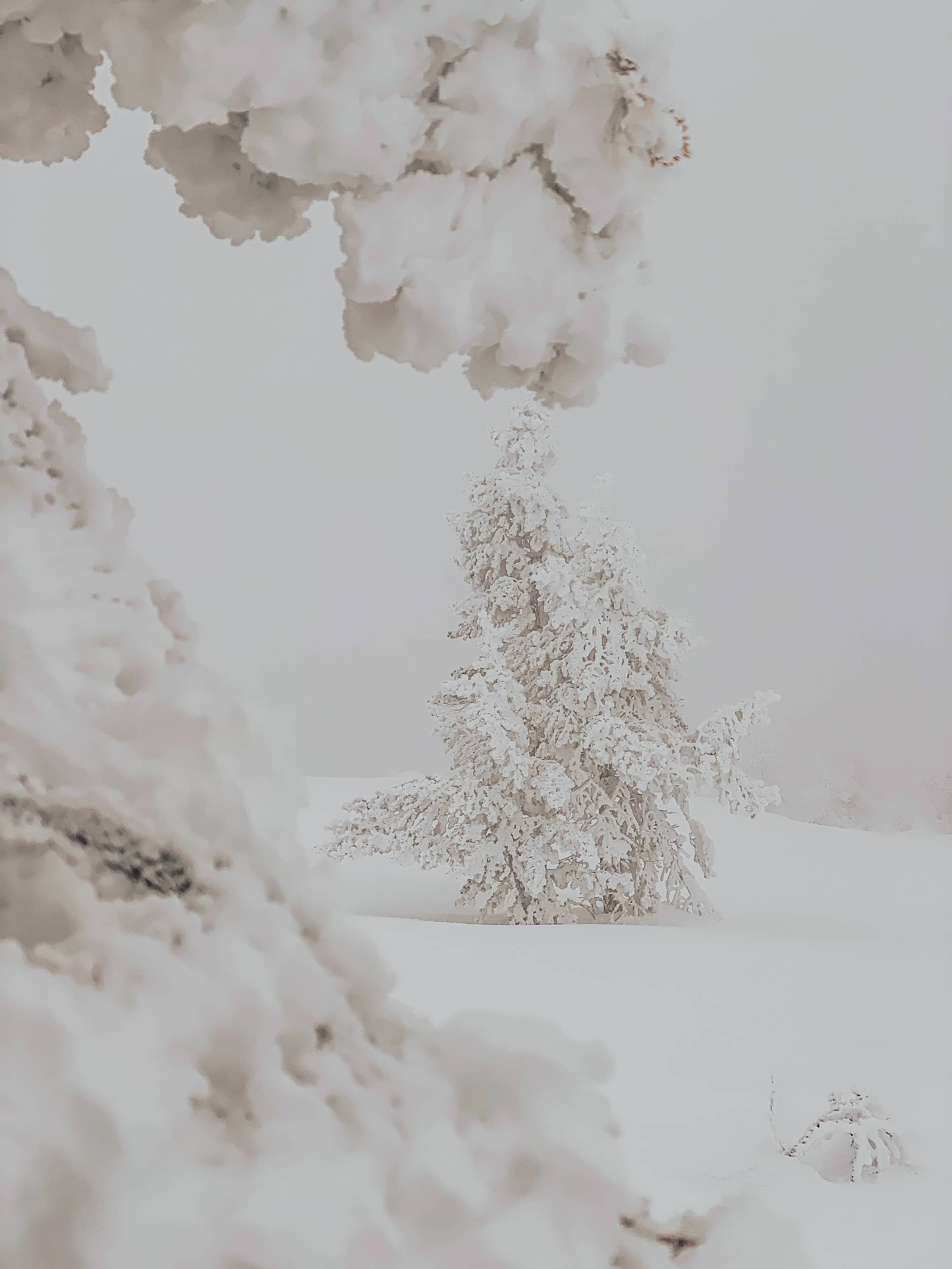 Laponie finlandaise en hiver neige 