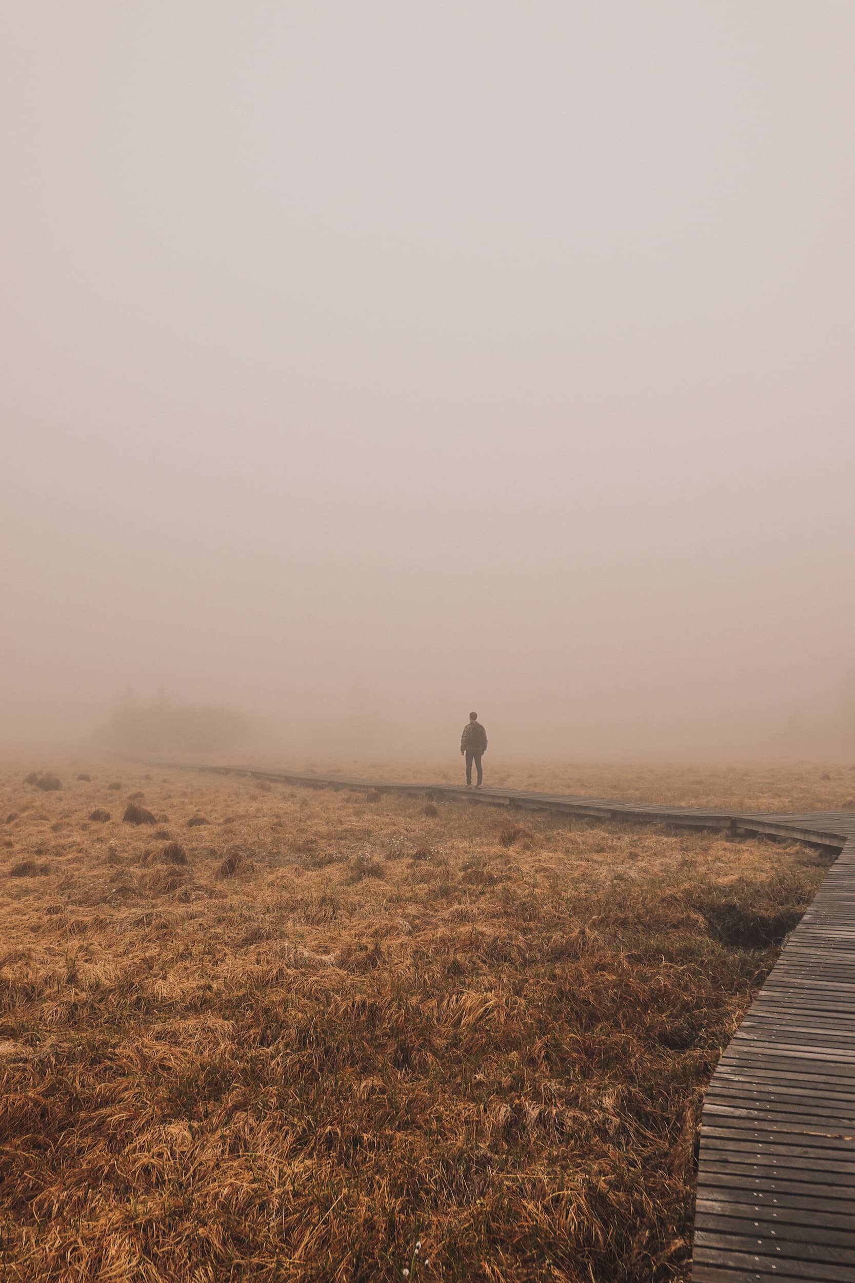 hoge venen wandeling belgië mist