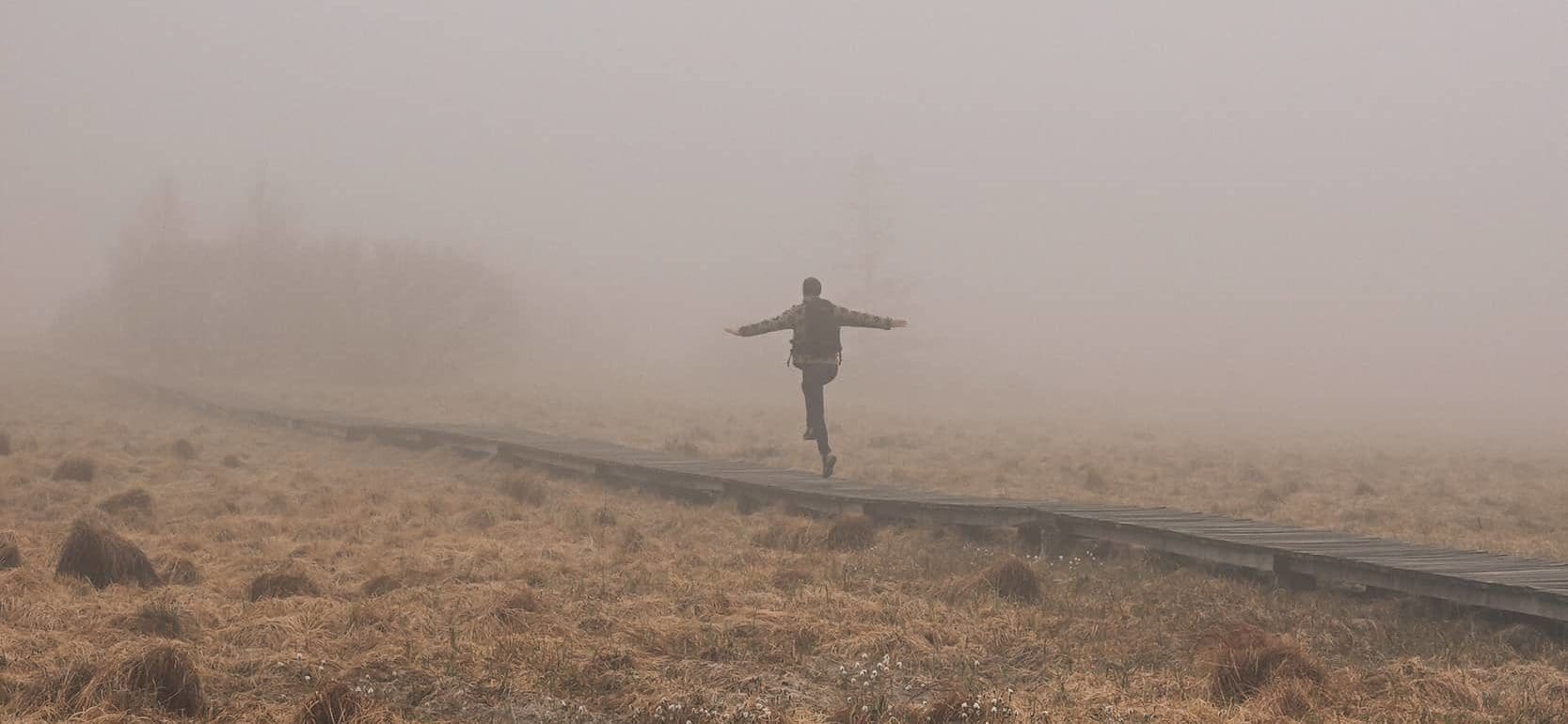 Balade caillebotis Belgique la Fagne de la Poleur