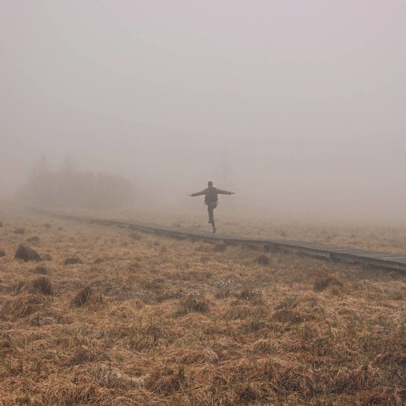 Balade caillebotis Belgique la Fagne de la Poleur