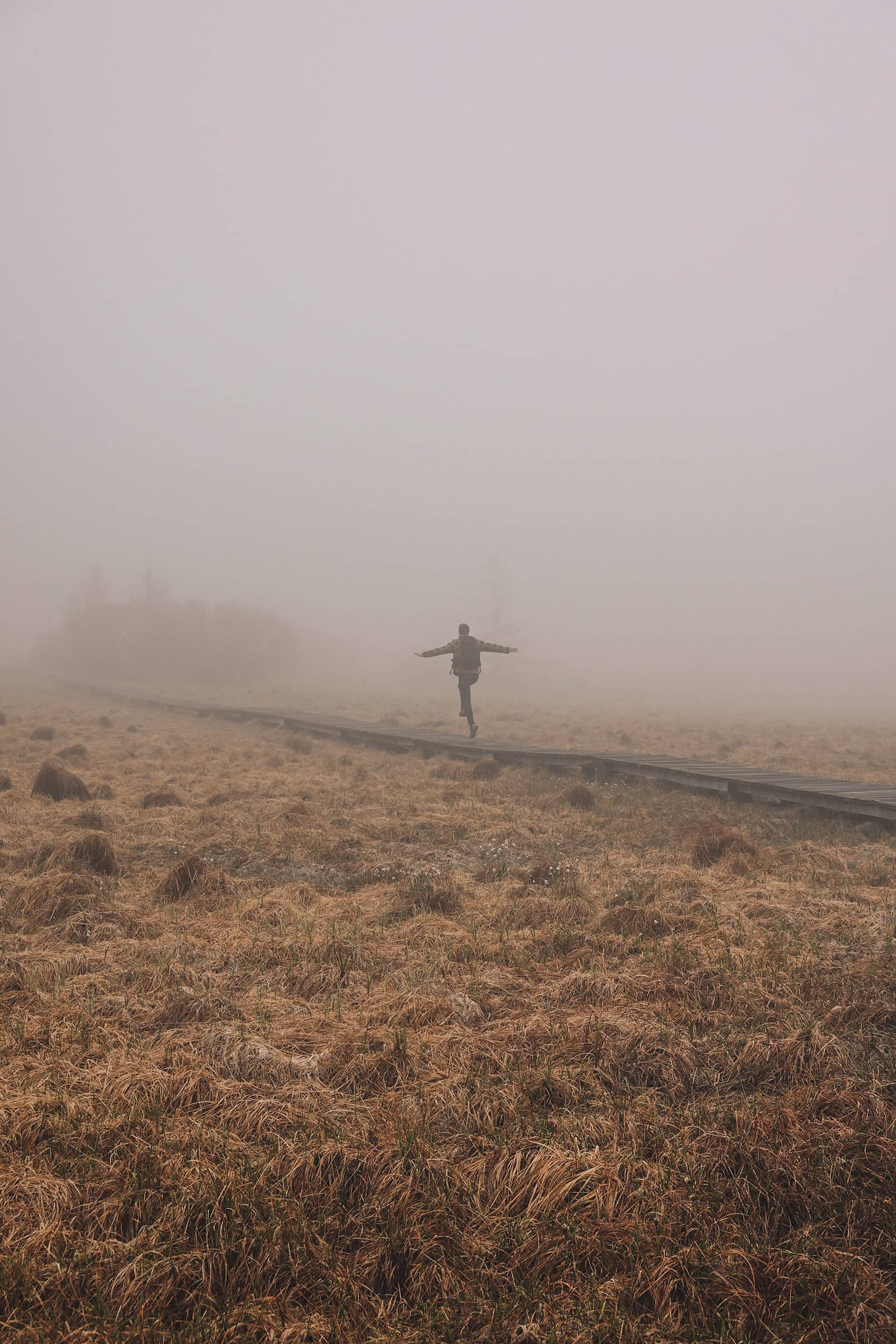 Duckboard walk in Belgium: the Fagne de la Poleur