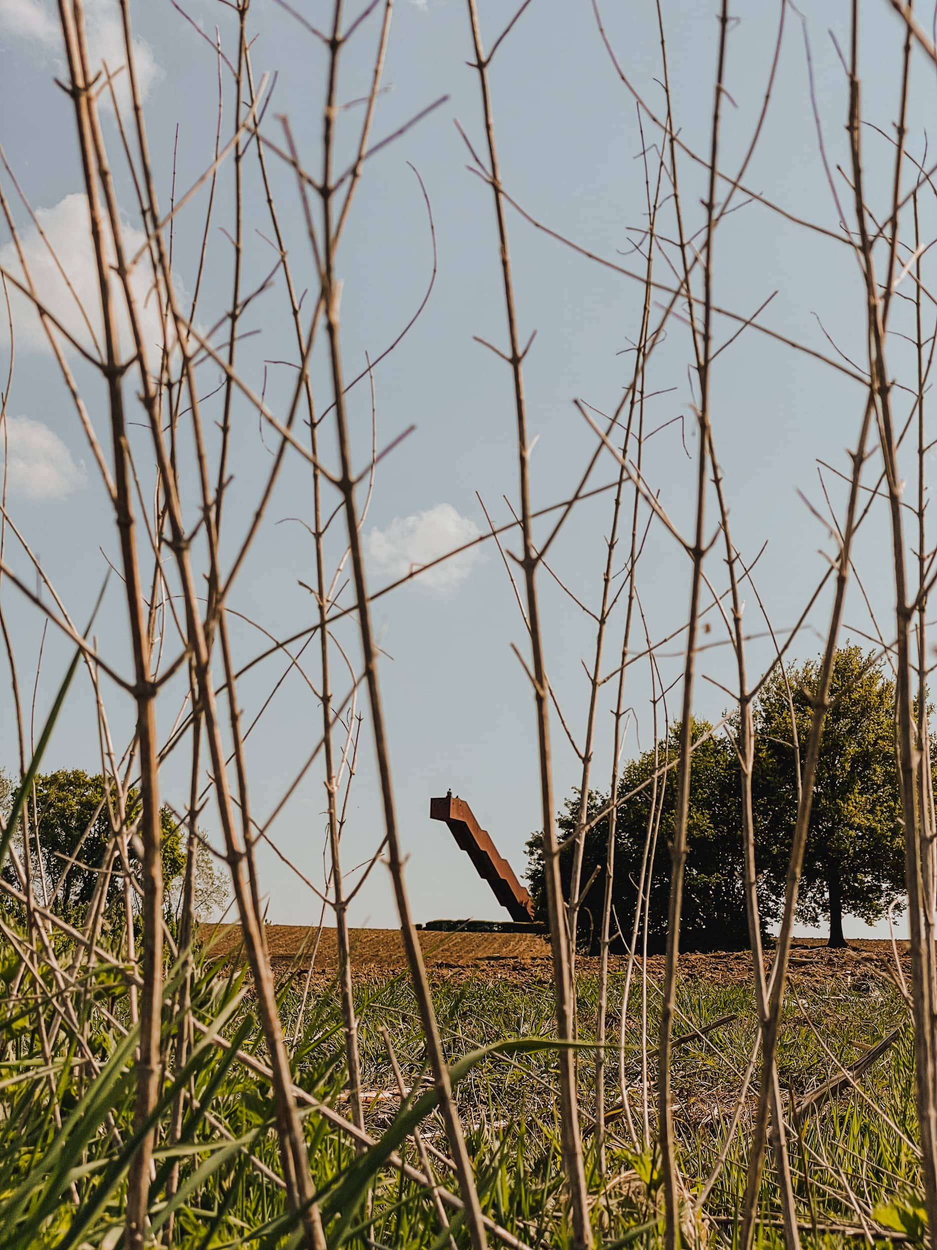 Vlooybergtorenwandeling in Tielt 