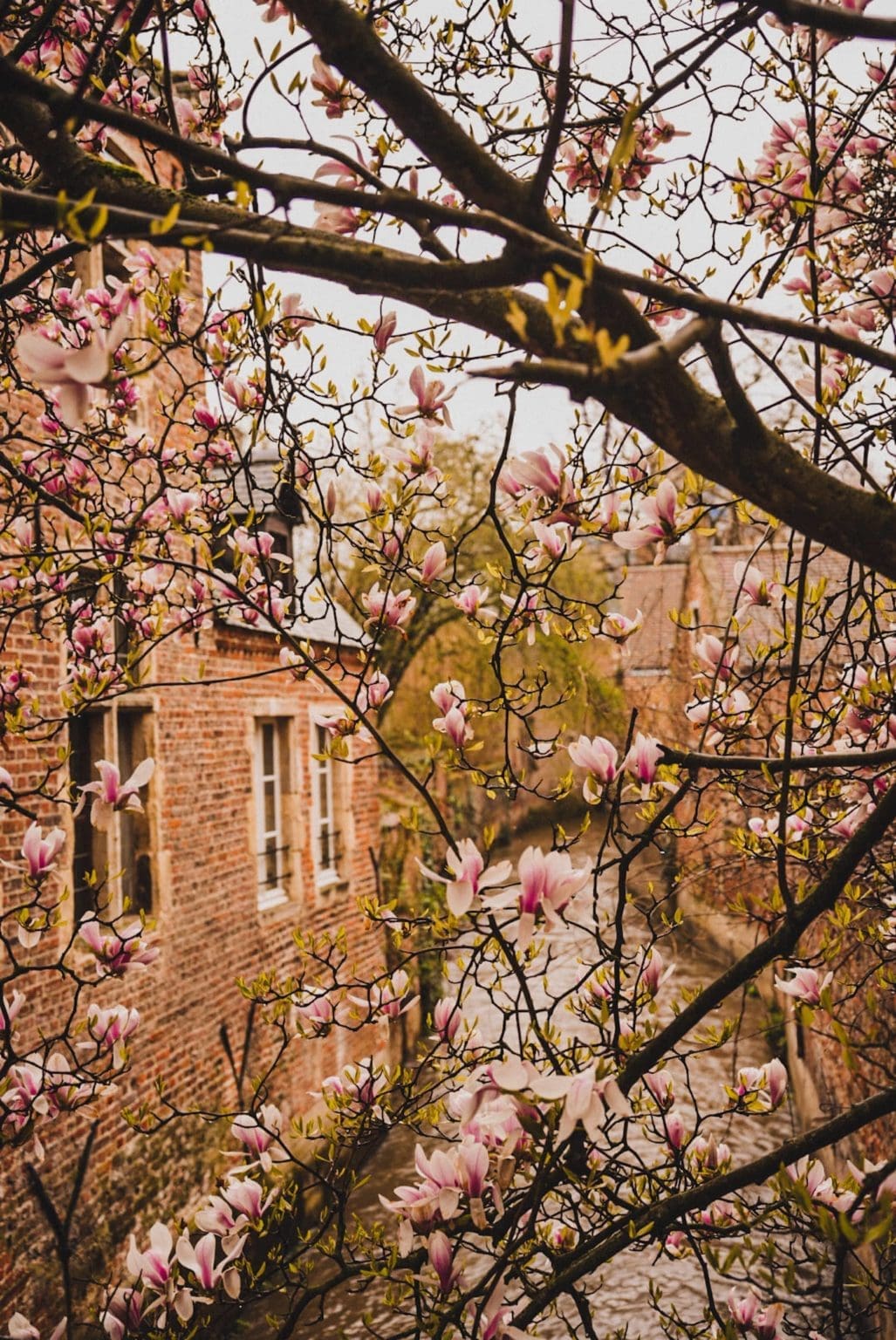 LES 7 INCONTOURNABLES DE LOUVAIN visual data 4