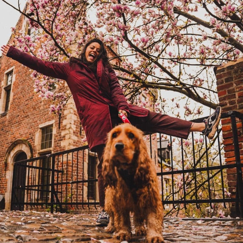 visiter le grand béguinage de Louvain avec son chien