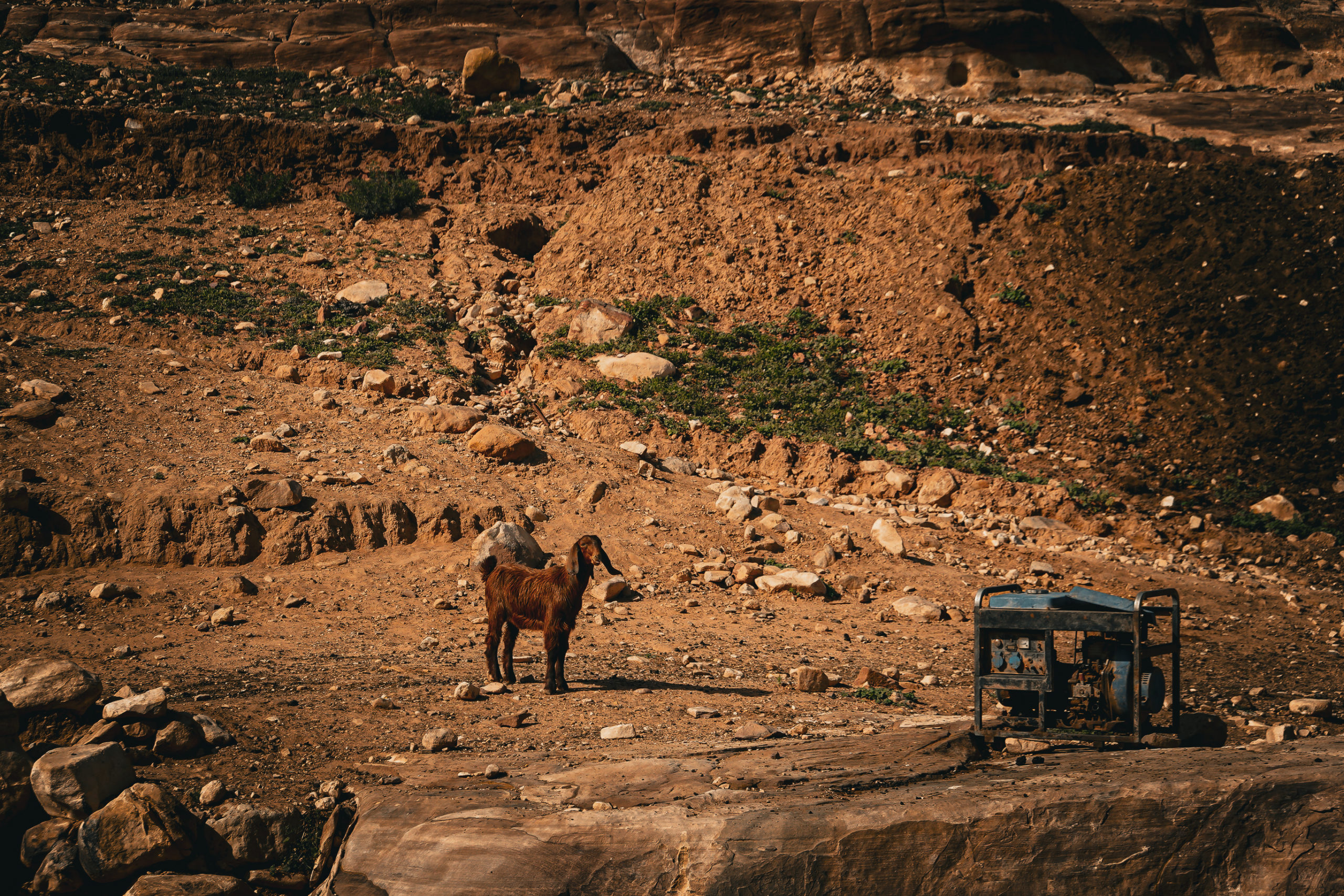 randonnée en Jordanie désert 
