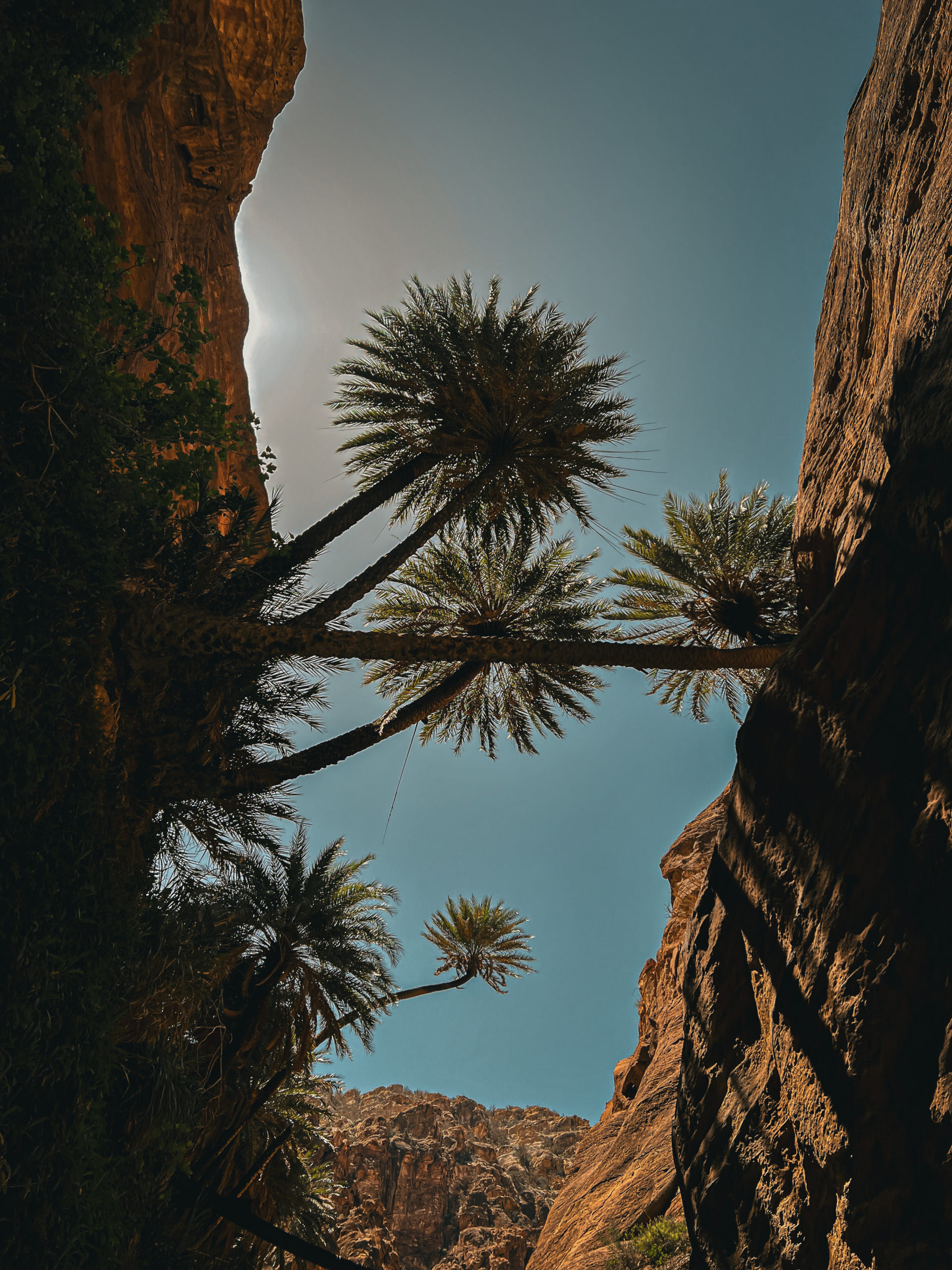 oasis désert Jordanie 