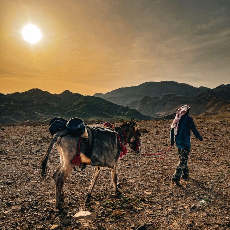 voyage jordanie route des rois