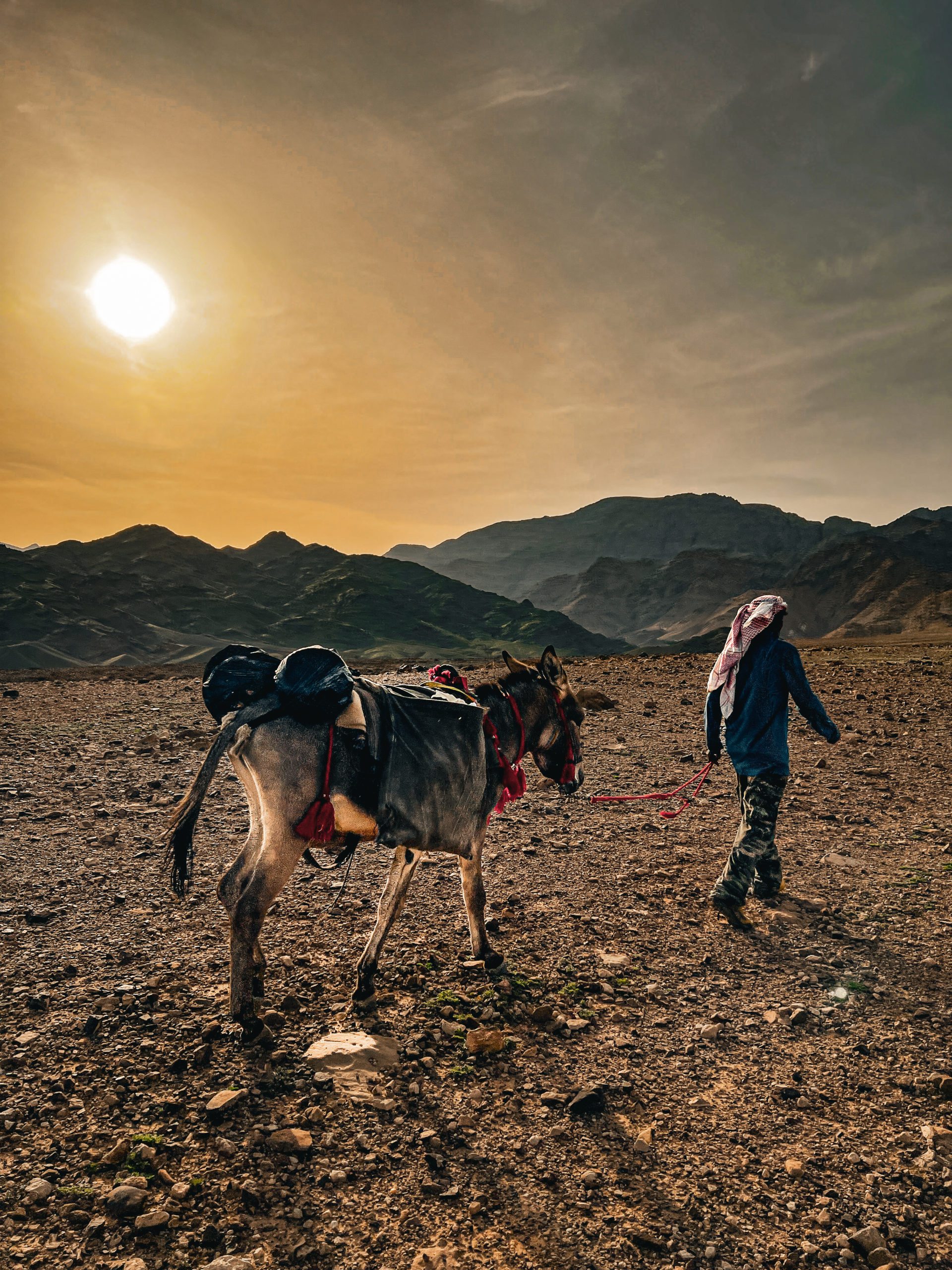 Voyage Jordanie : 1 semaine de trek sur la route des rois direction Petra avec l’organisation Jordan Trail