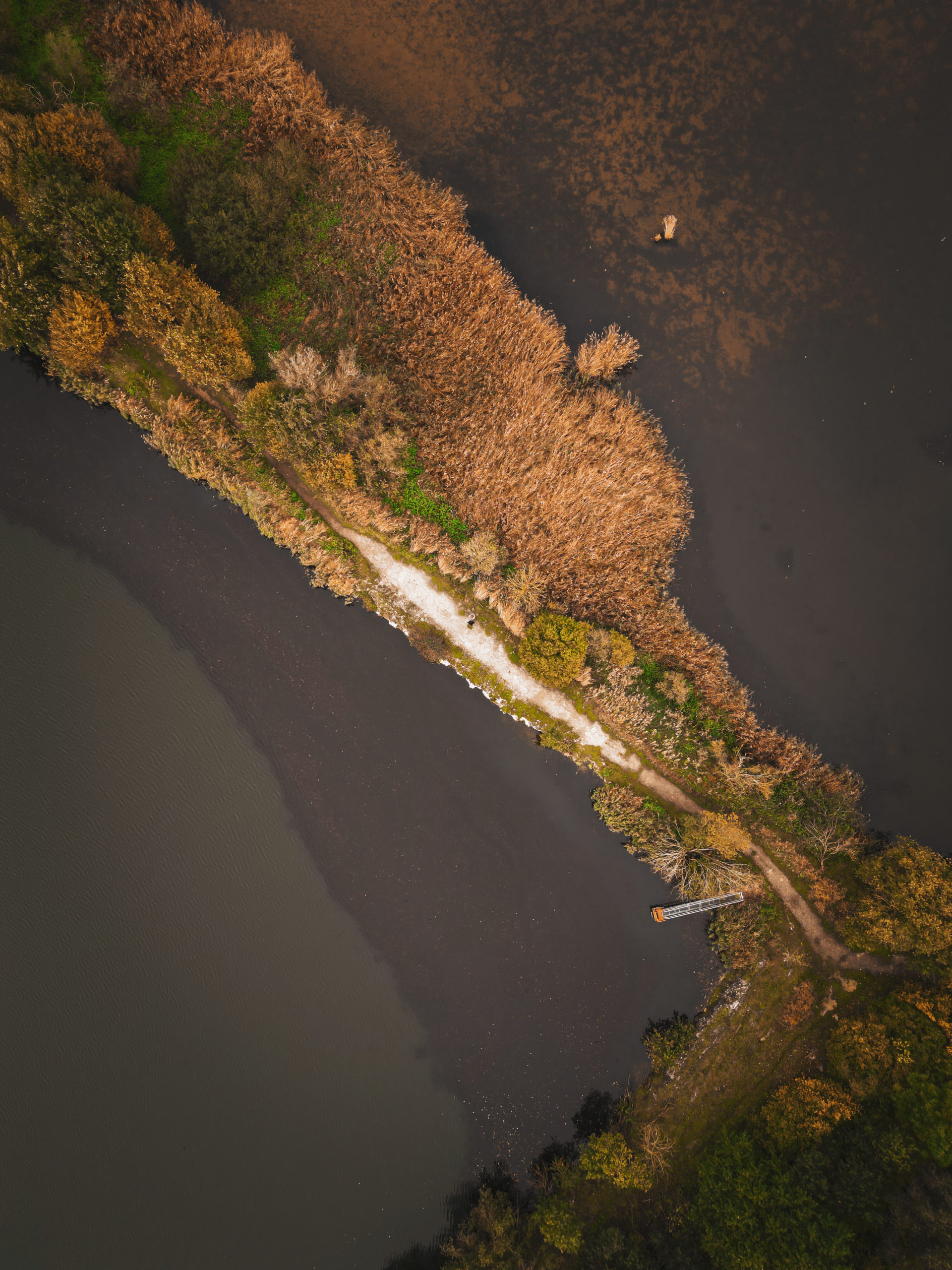 Vue drone sur la réserve naturelle du Haut Geer