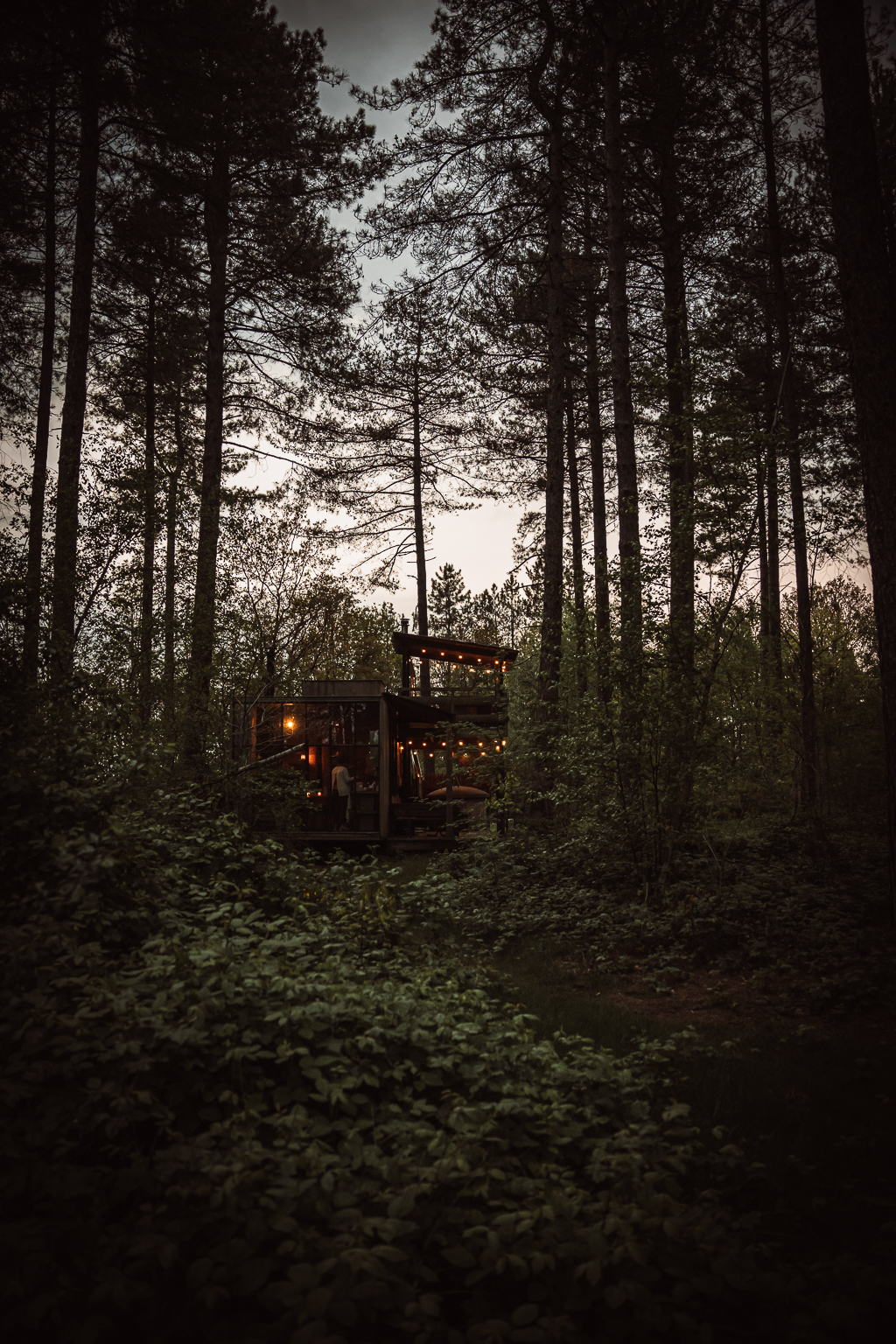 cabane dans les arbres belgique Limbourg 