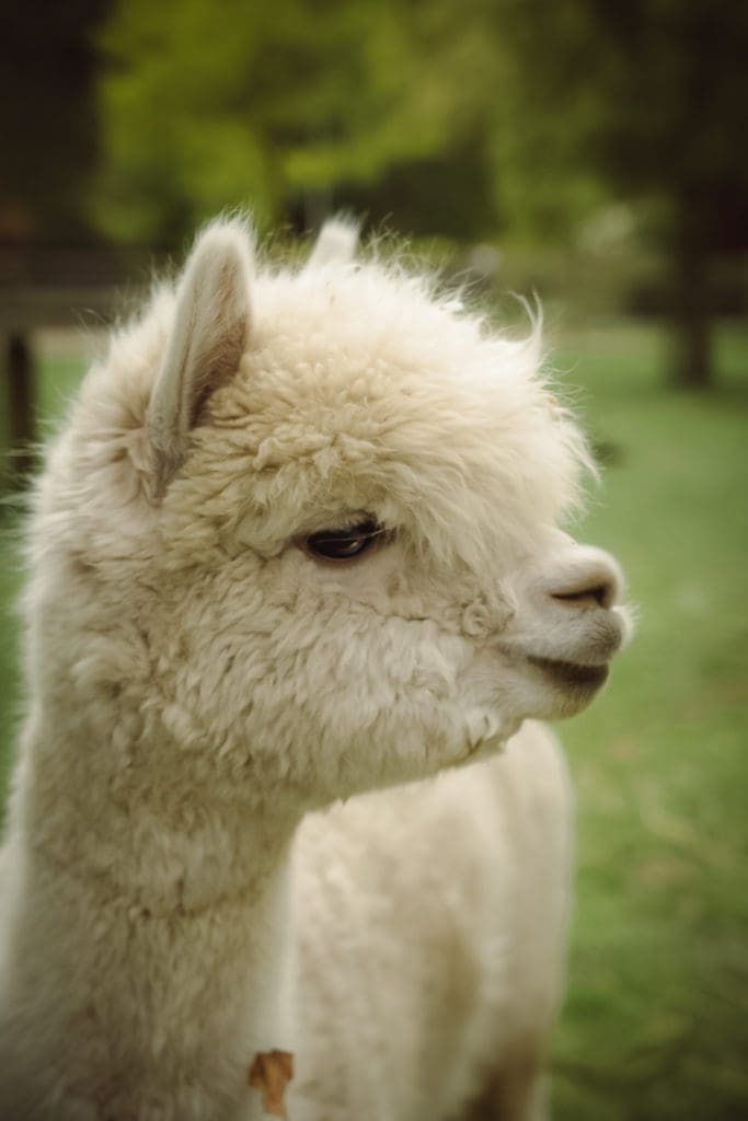 week-end insolite en amoureux