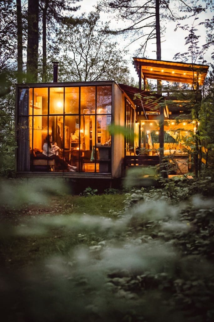 logement insolite chien admis