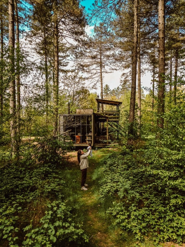 cabane dans les arbres belgique