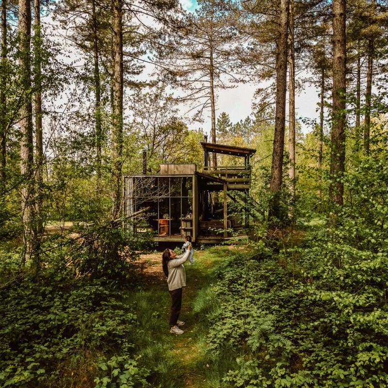 cabane dans les arbres belgique