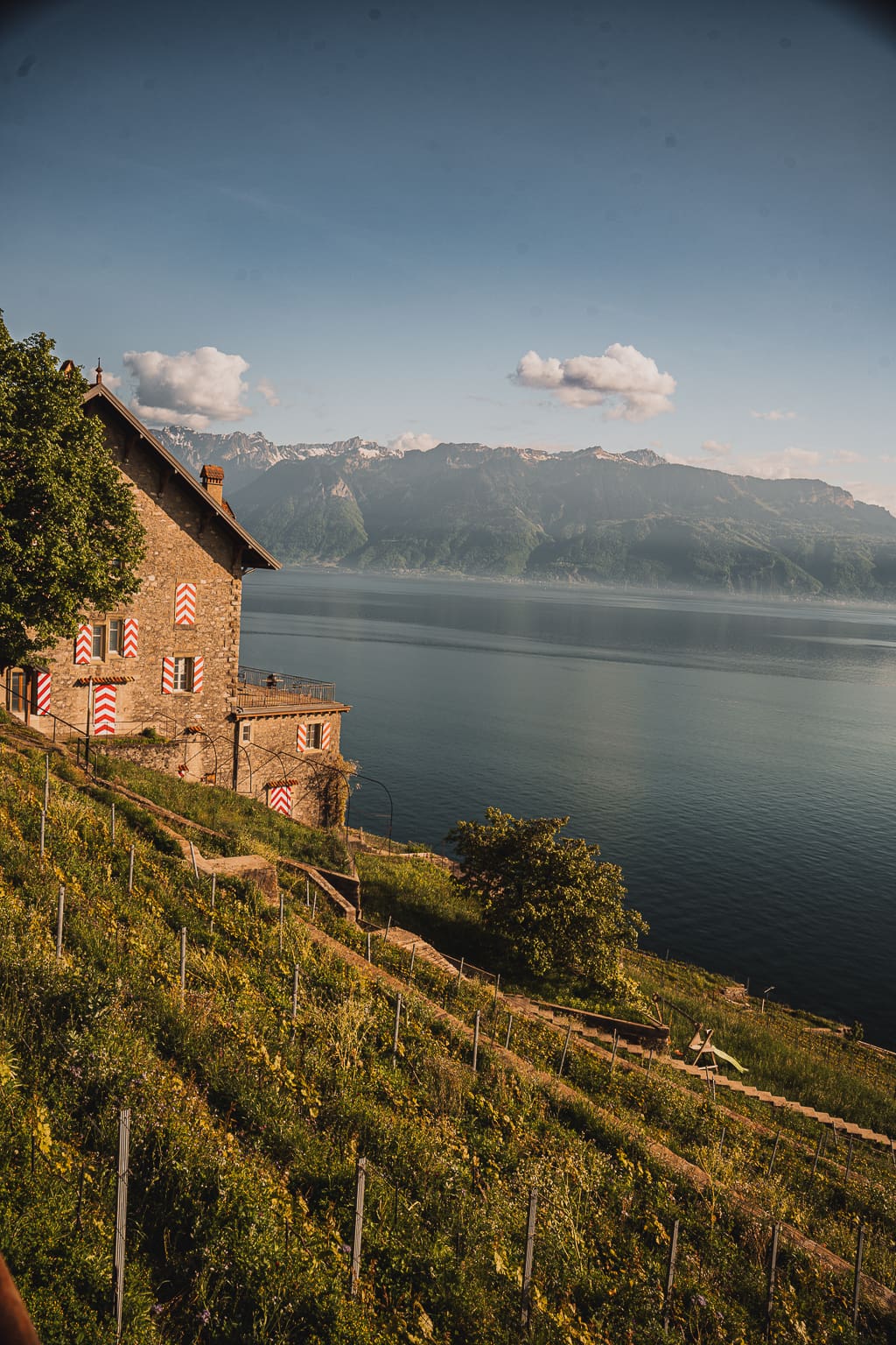 visiter terrasse Lavaux 