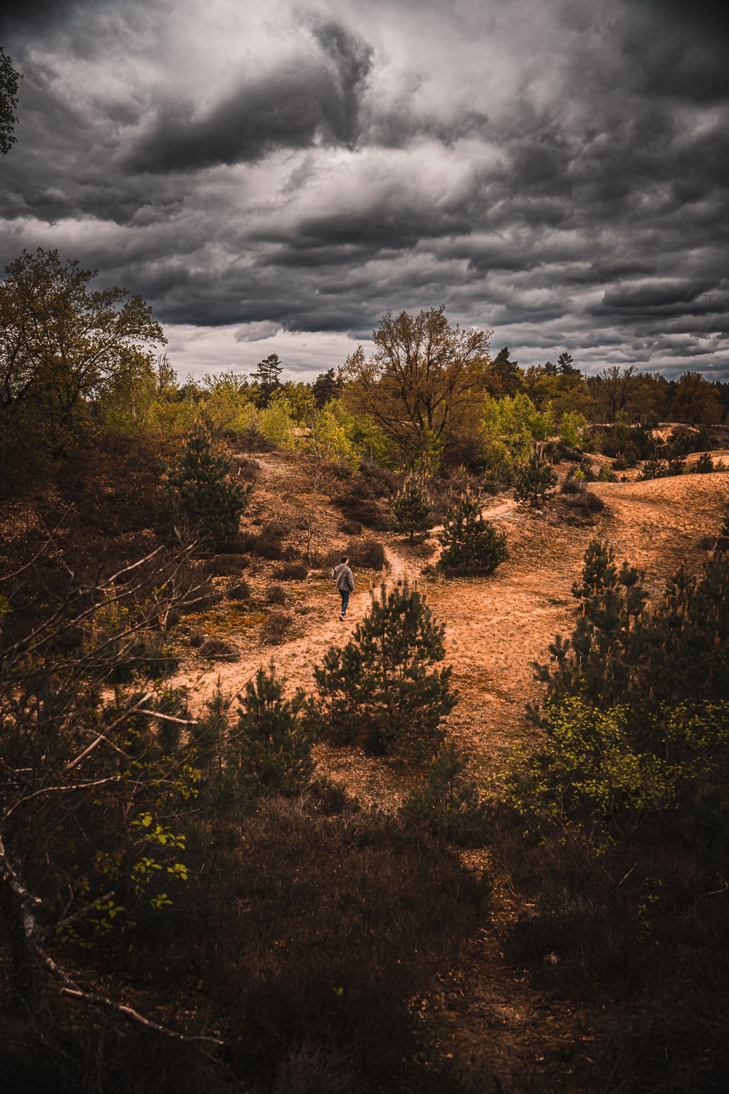 parc national haute campine 