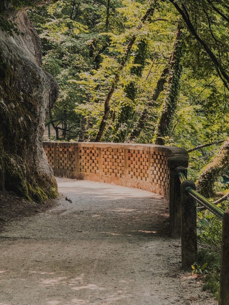 Sentier de balade autour du lac de Bled en Slovénie