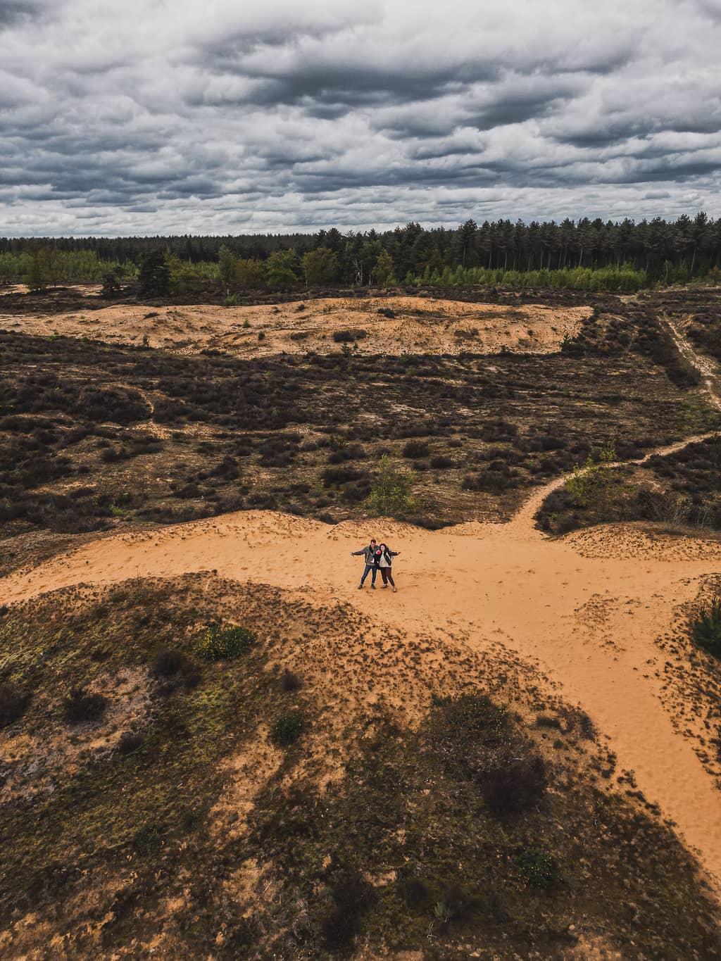 Parc national de la Haute Campine : balade insolite dans les dunes de sable du Oudsberg