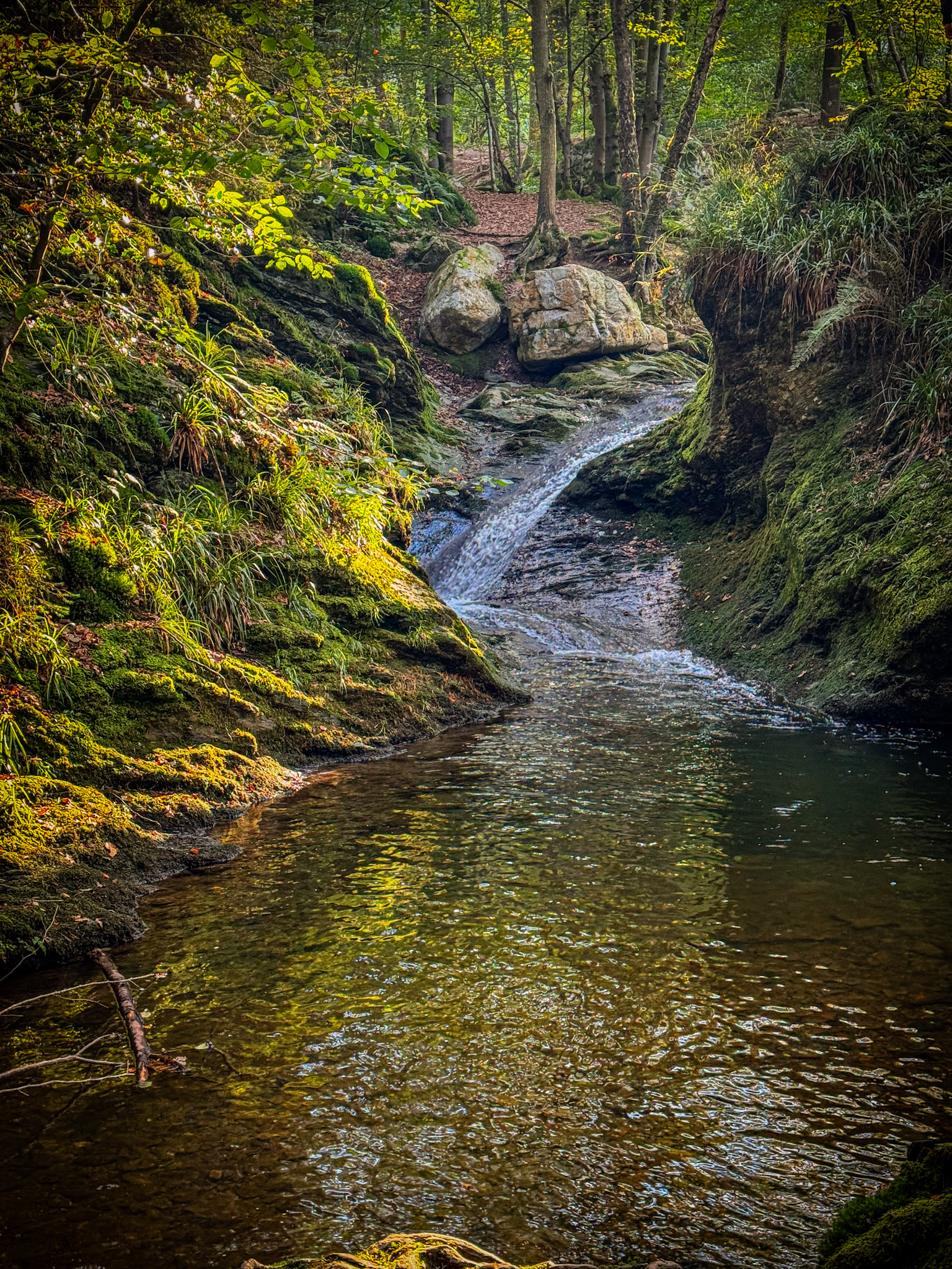 Bains de Naïdes dans le Ninglinspo