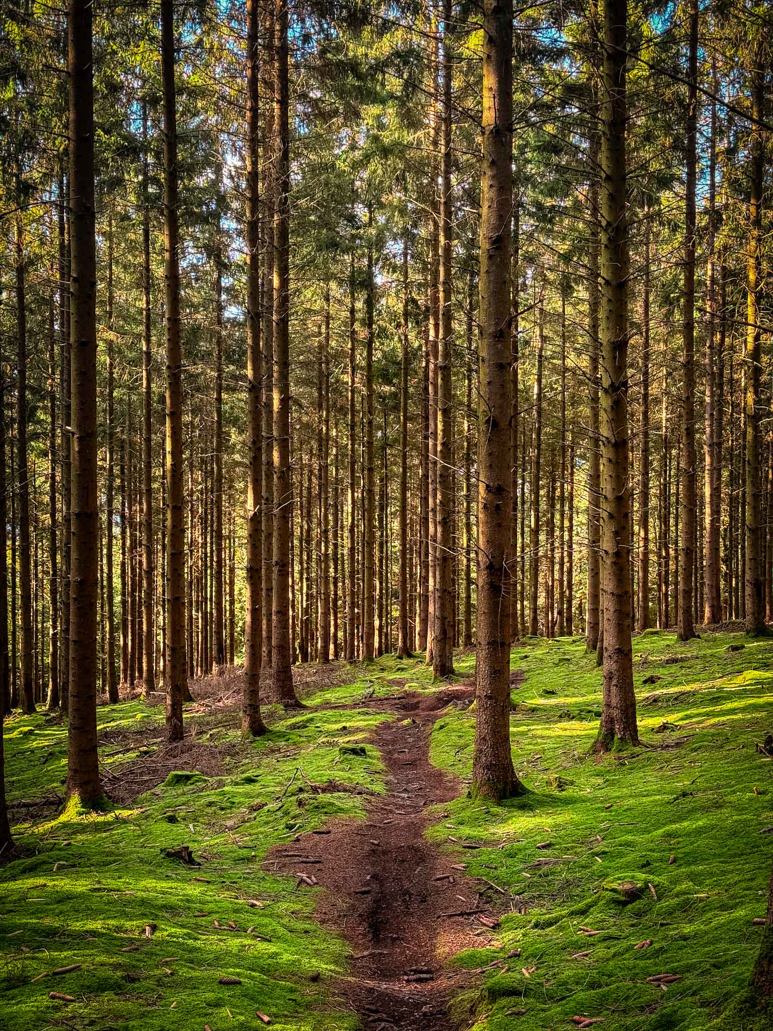 Trail au heid Jaminet