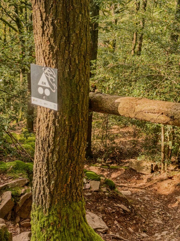 Piste noire vtt idéal pour le trail 