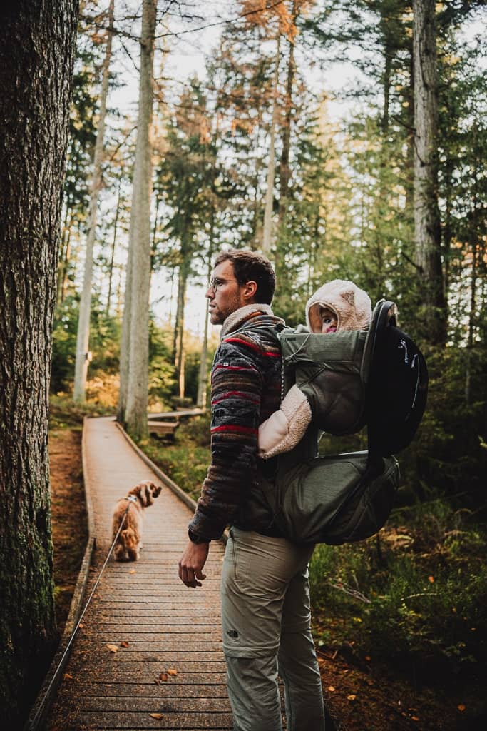 Que faire à Vielsalm : promenade balisée à la découverte de So Bechefa en Haute Ardenne