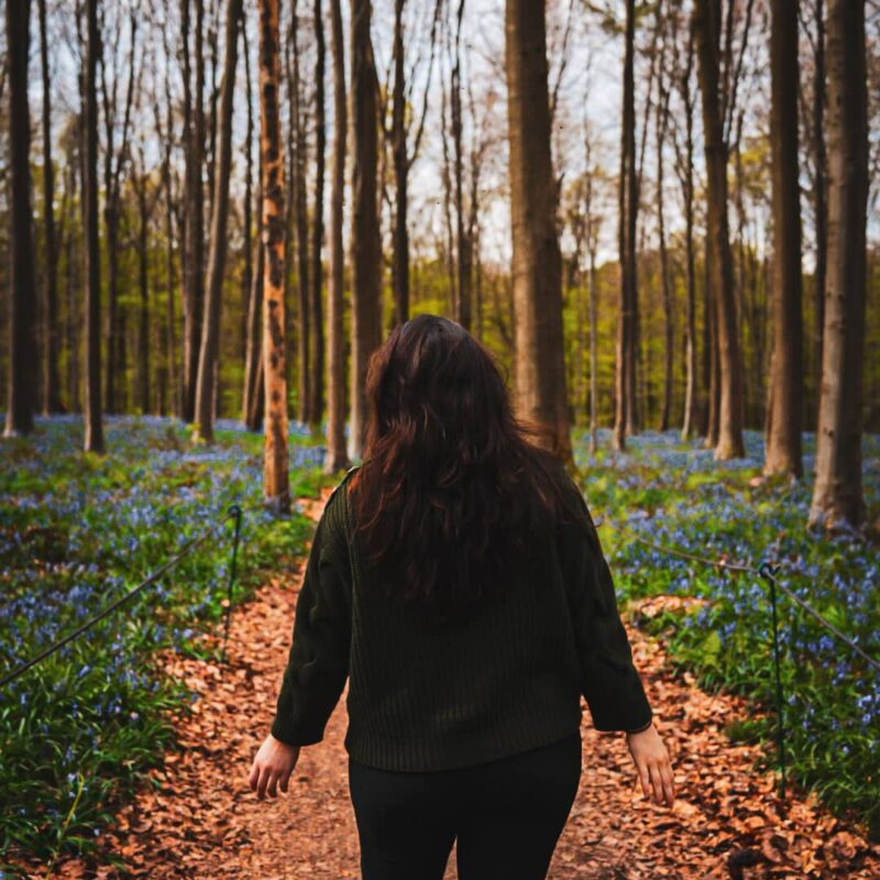 hallerbos balade printanière Bruxelles