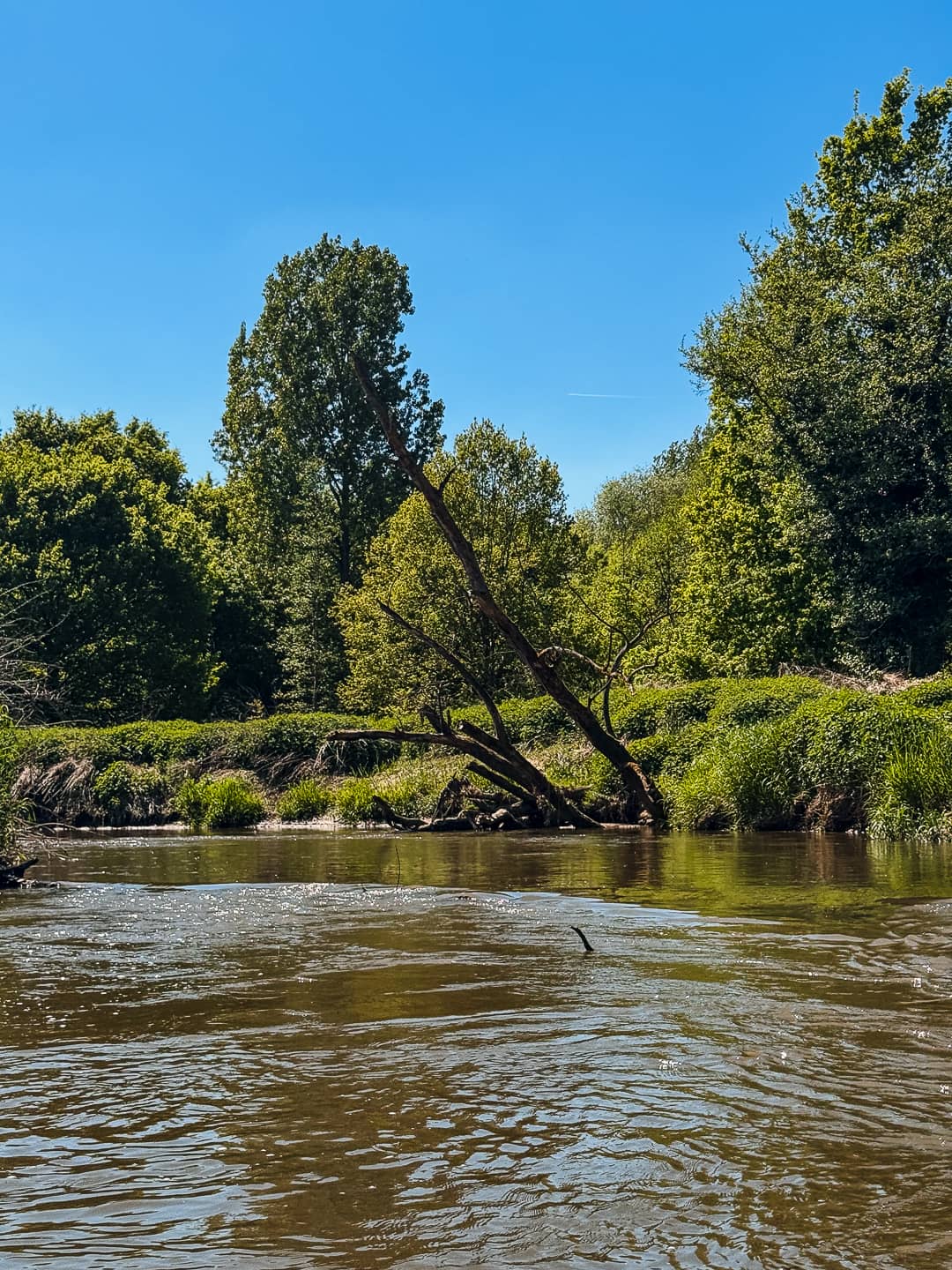 faire du paddle sur la dyle