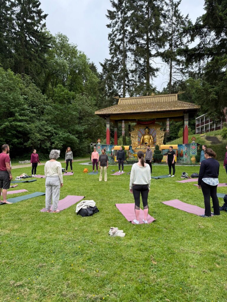 Randonnée Insolite & Yoga au Temple Tibétain à Huy avec lunch : une journée retraite