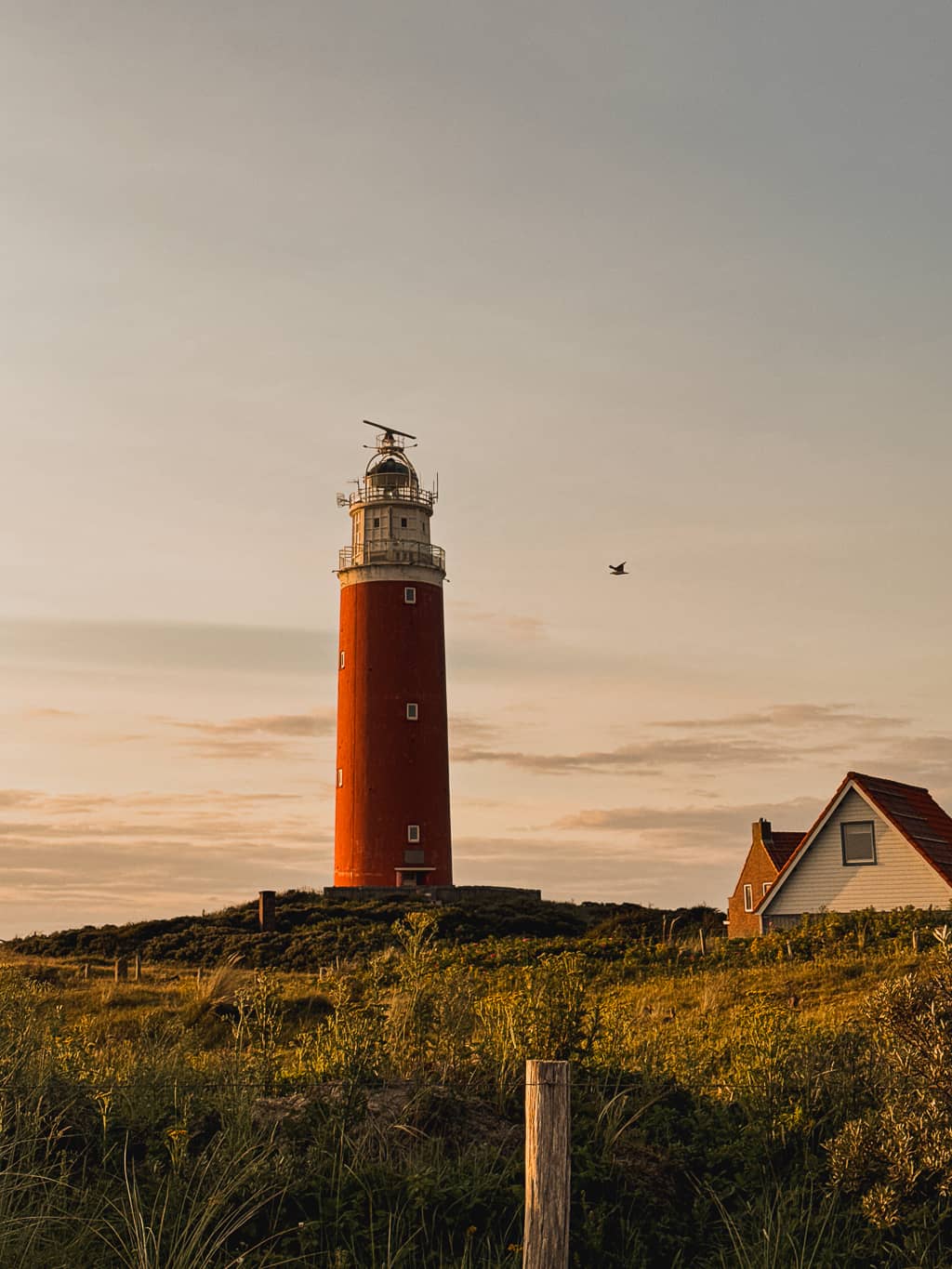 visiter Texel pays bas