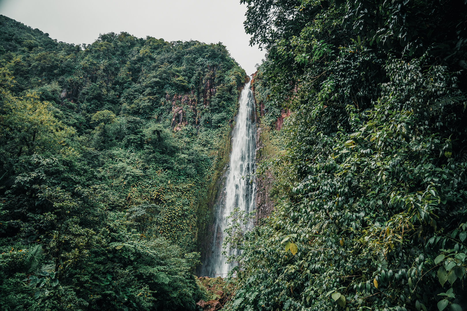 chute du carbet 