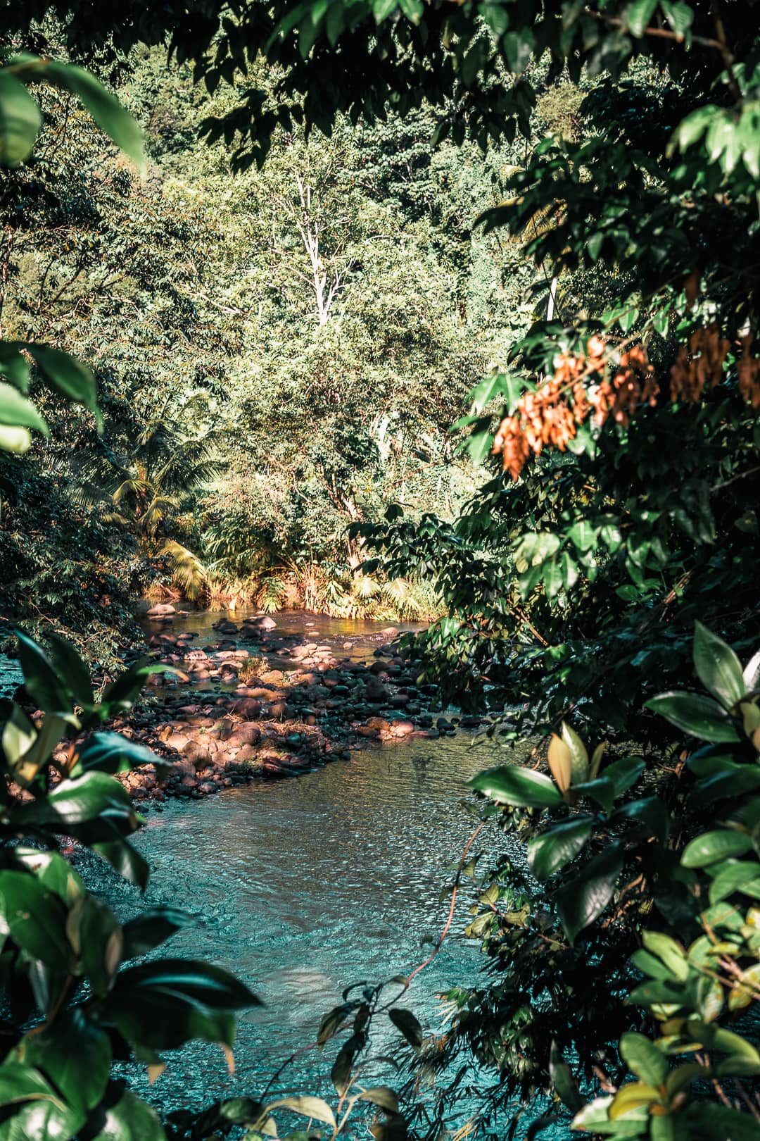 que faire en guadeloupe