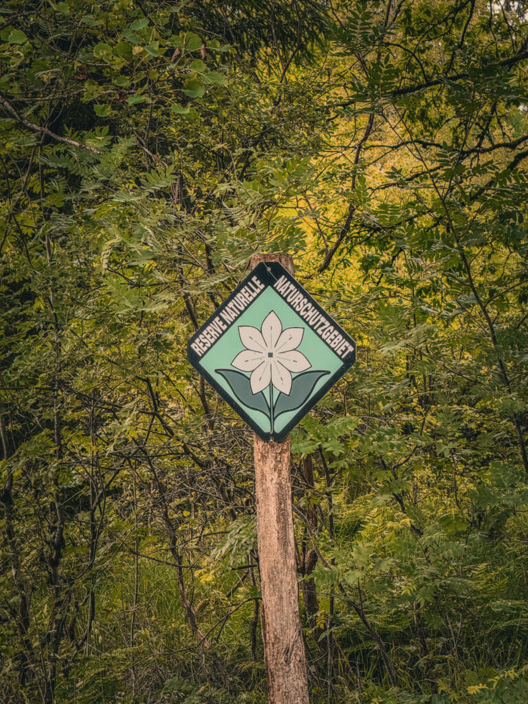 Traversée vélo réserve naturelle Hertogenwald