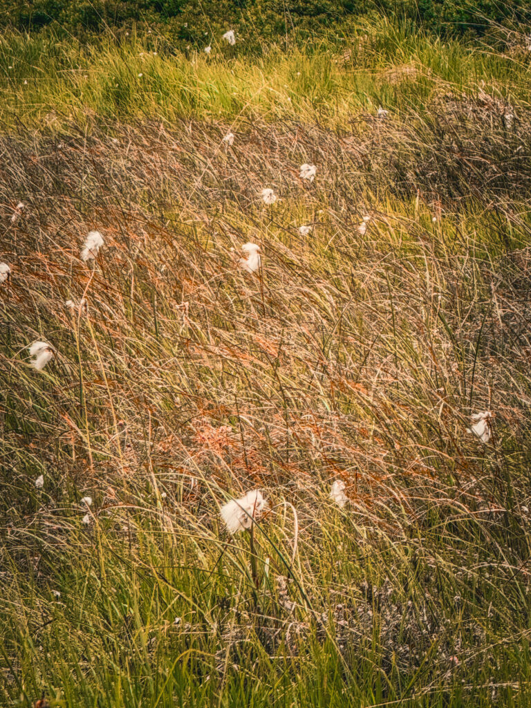 linaigrettes parcours vélo