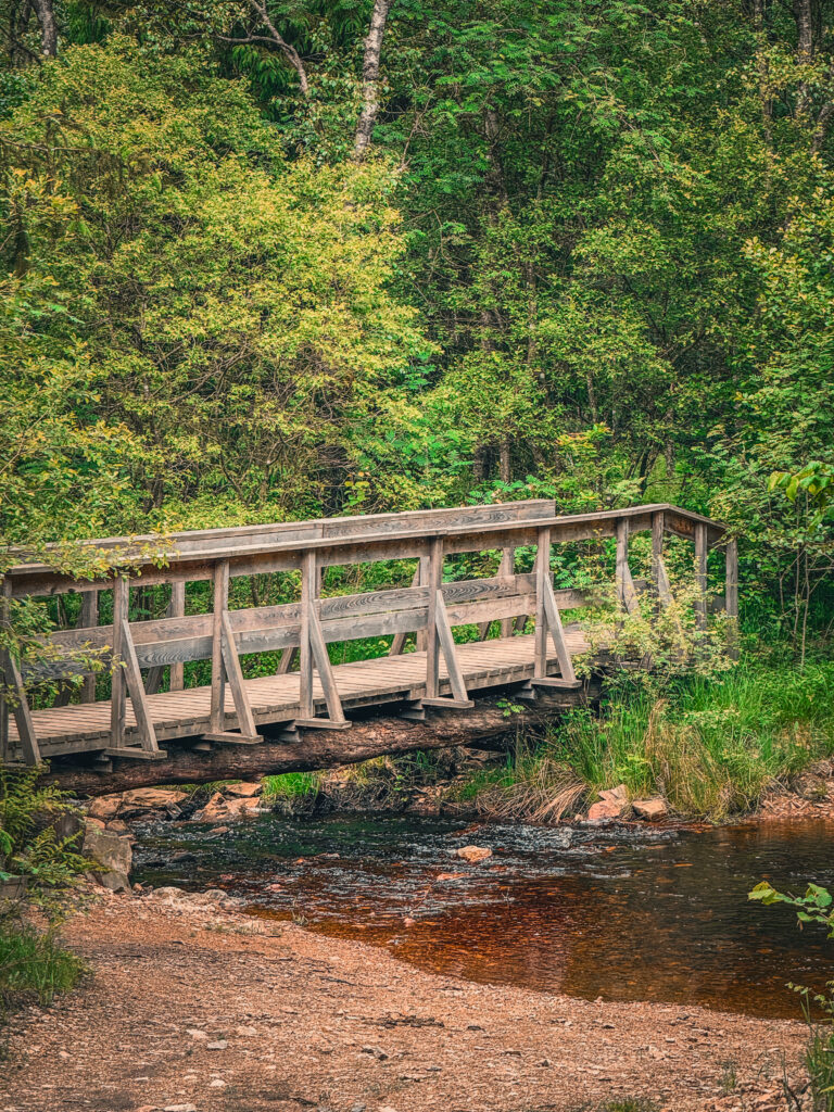 Traversée vélo Hautes Fagnes