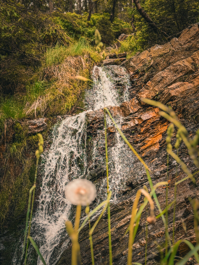 Cascade dans les hautes fagnes