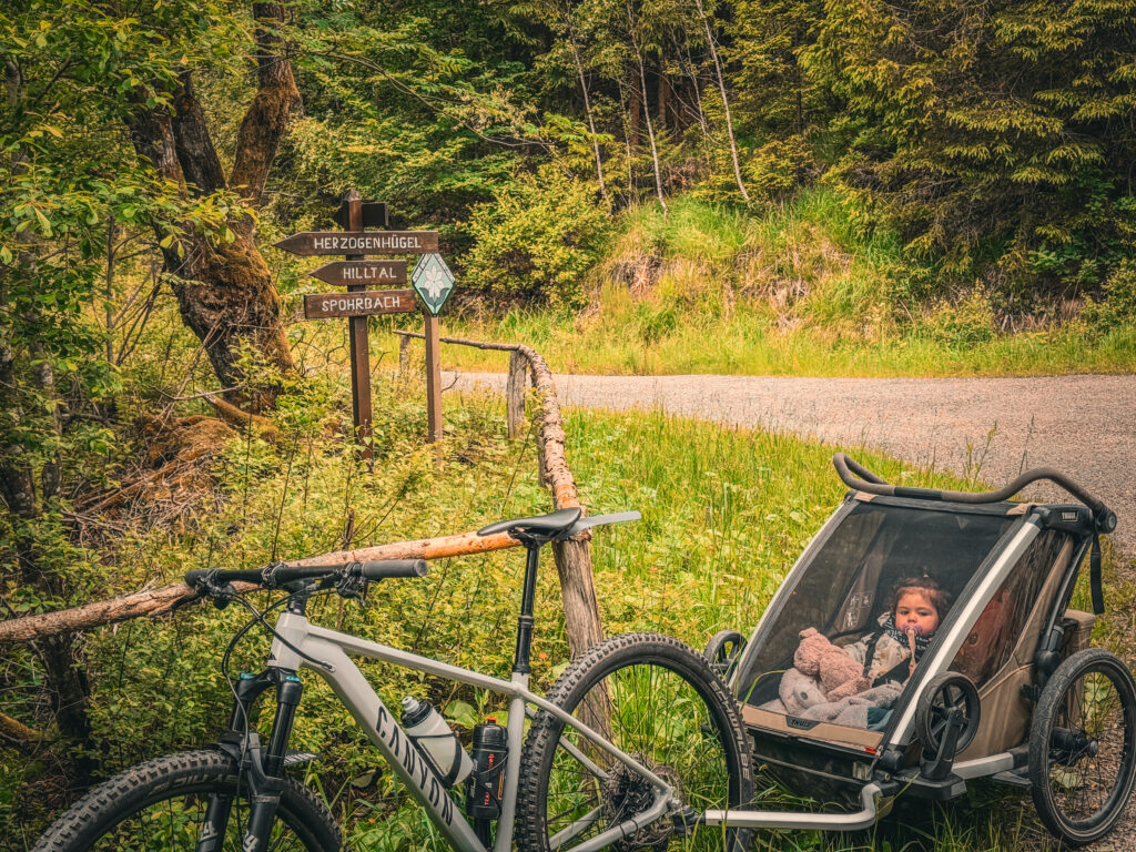vélo avec chariot Hertogenwald