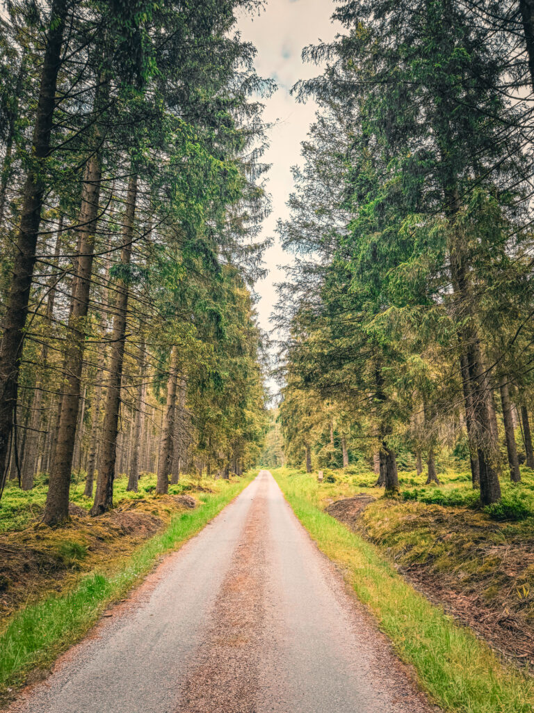boucle vélo hautes fagnes