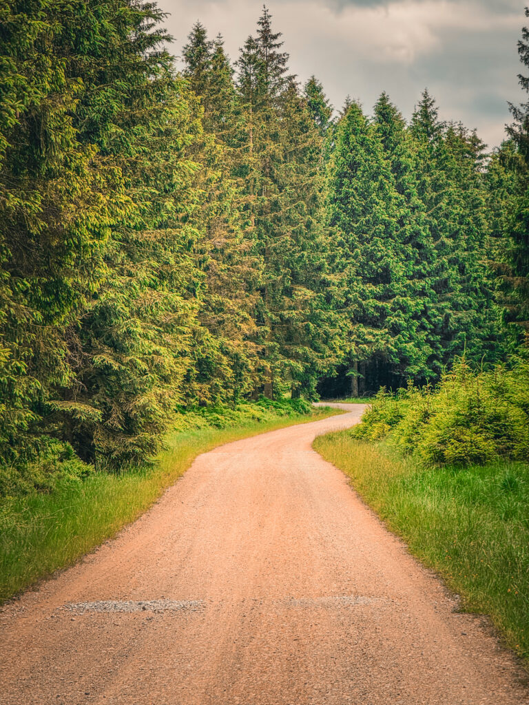 Parcours vélo haute fagnes