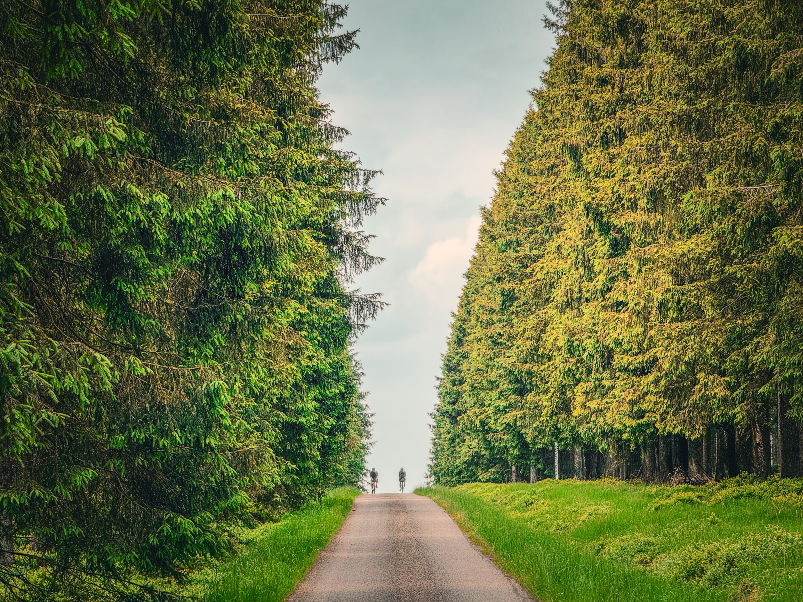Boucle vélo dans les Hautes Fagnes et l’Eifel : 35 km d’aventure sur l’un des plus beaux itinéraires vélo de Wallonie